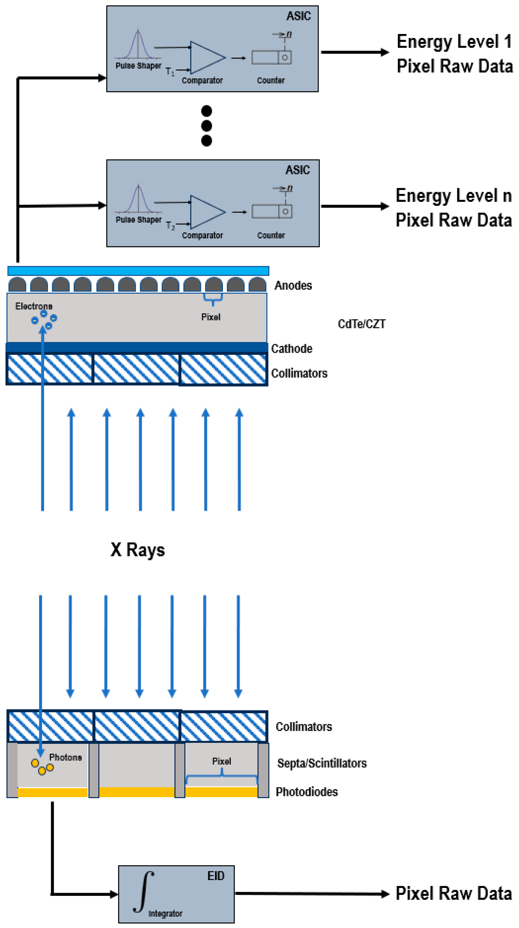 Jcm 12 03798 g001 Jcm 12 03798 g001