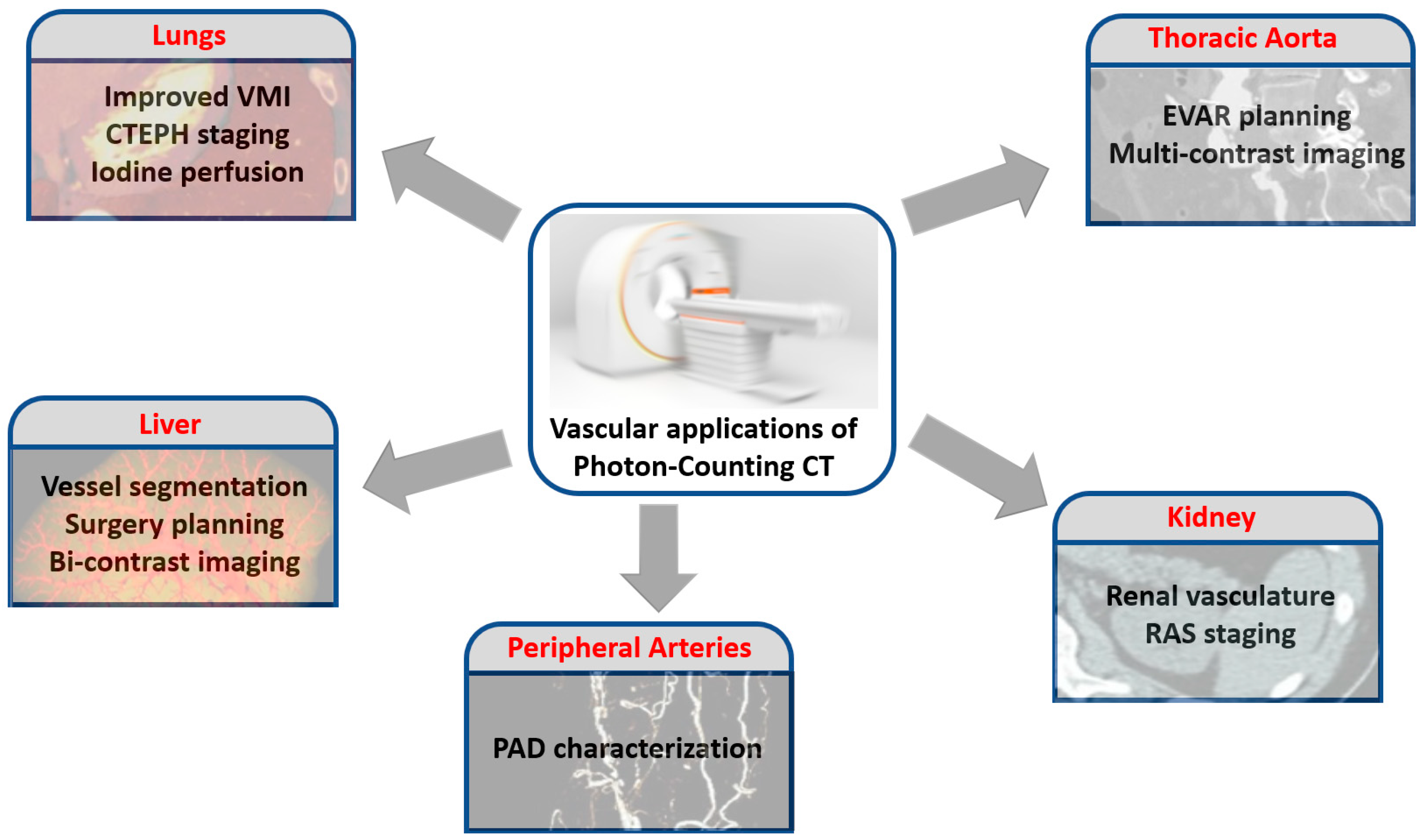Jcm 12 03798 g002 Jcm 12 03798 g002
