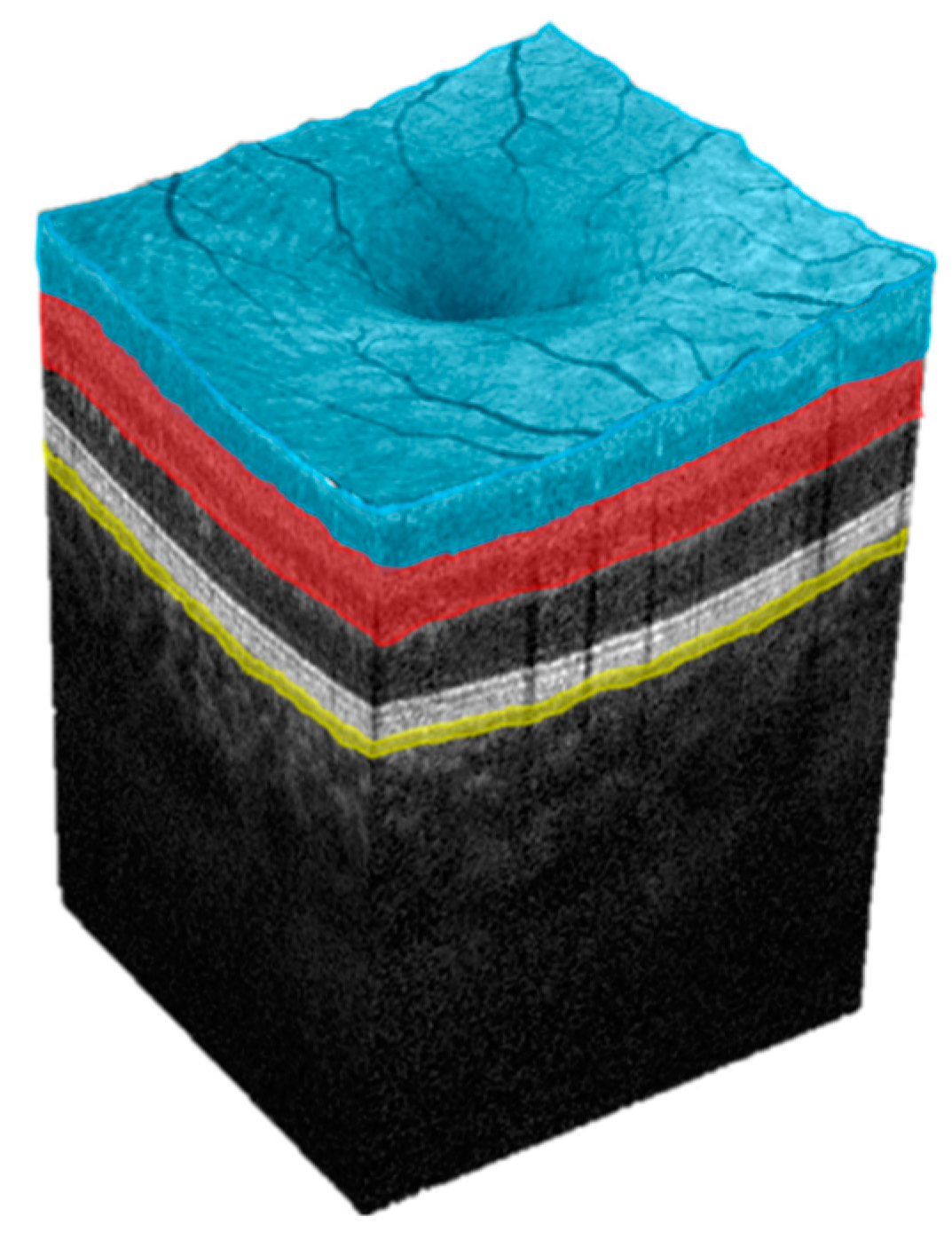 Jcm 12 03836 g002 Jcm 12 03836 g002