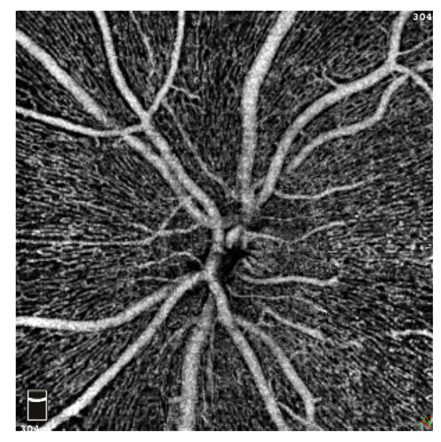 Jcm 12 03836 g003 Jcm 12 03836 g003