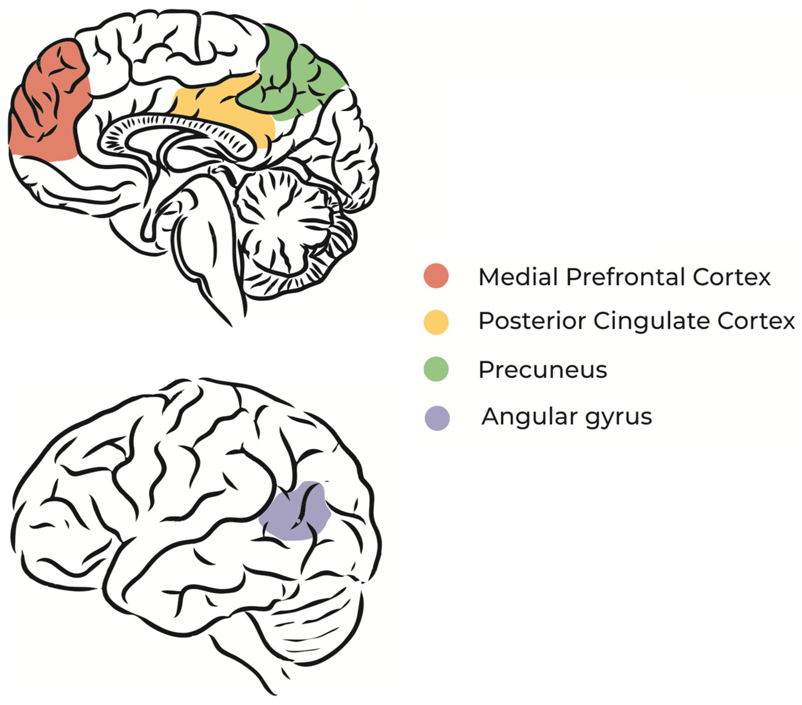 Brain Effects During Daydreaming: Insight into Cognition