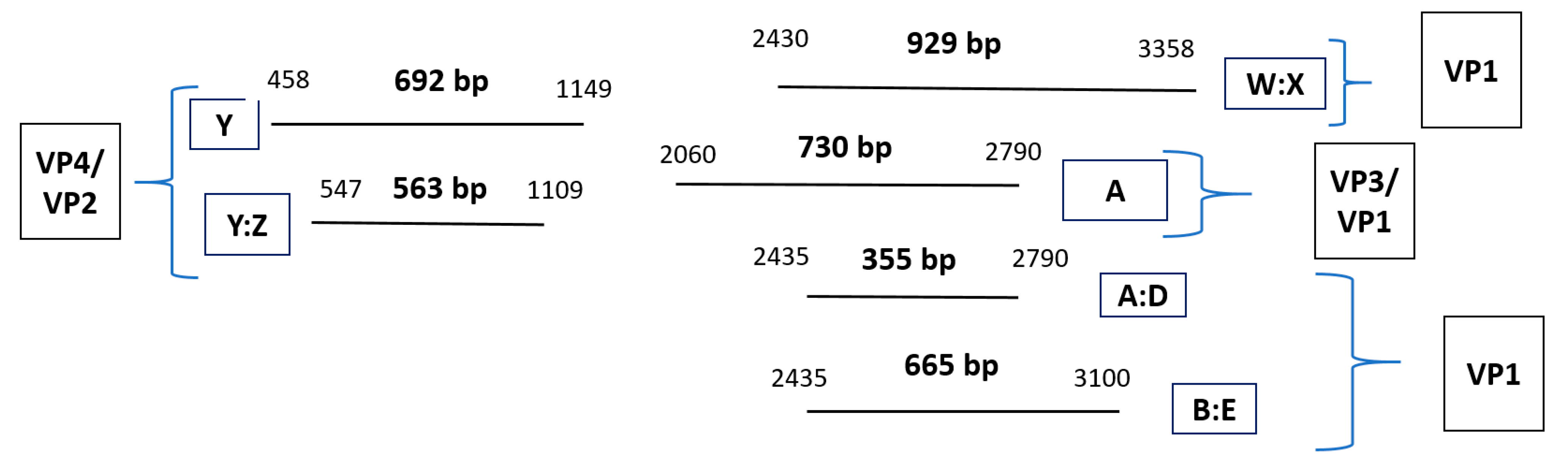 Jcm 12 03909 g001