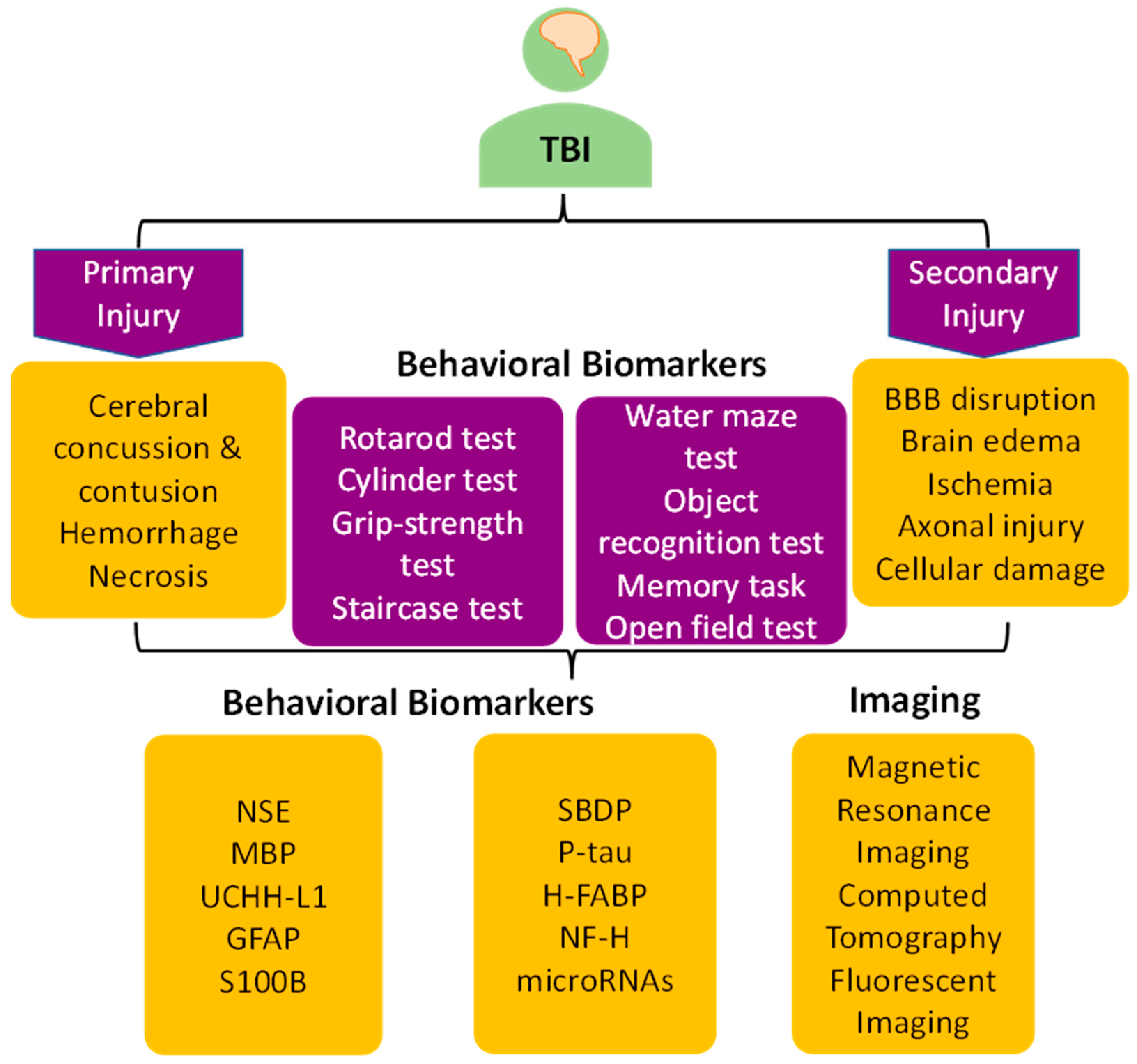 JCM Free FullText Potential Biomarkers in Experimental Animal