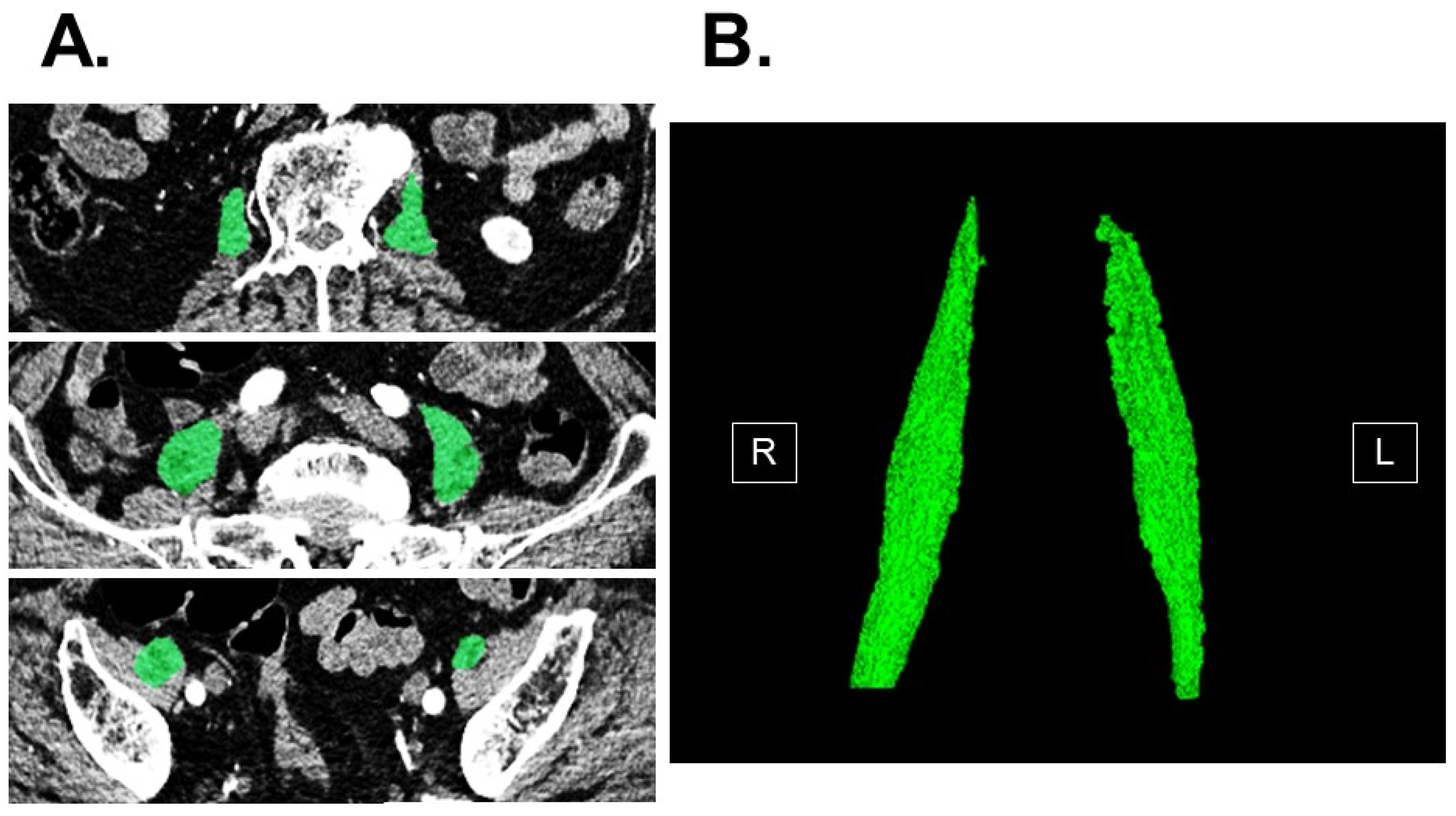 Jcm 12 03943 g001 Jcm 12 03943 g001