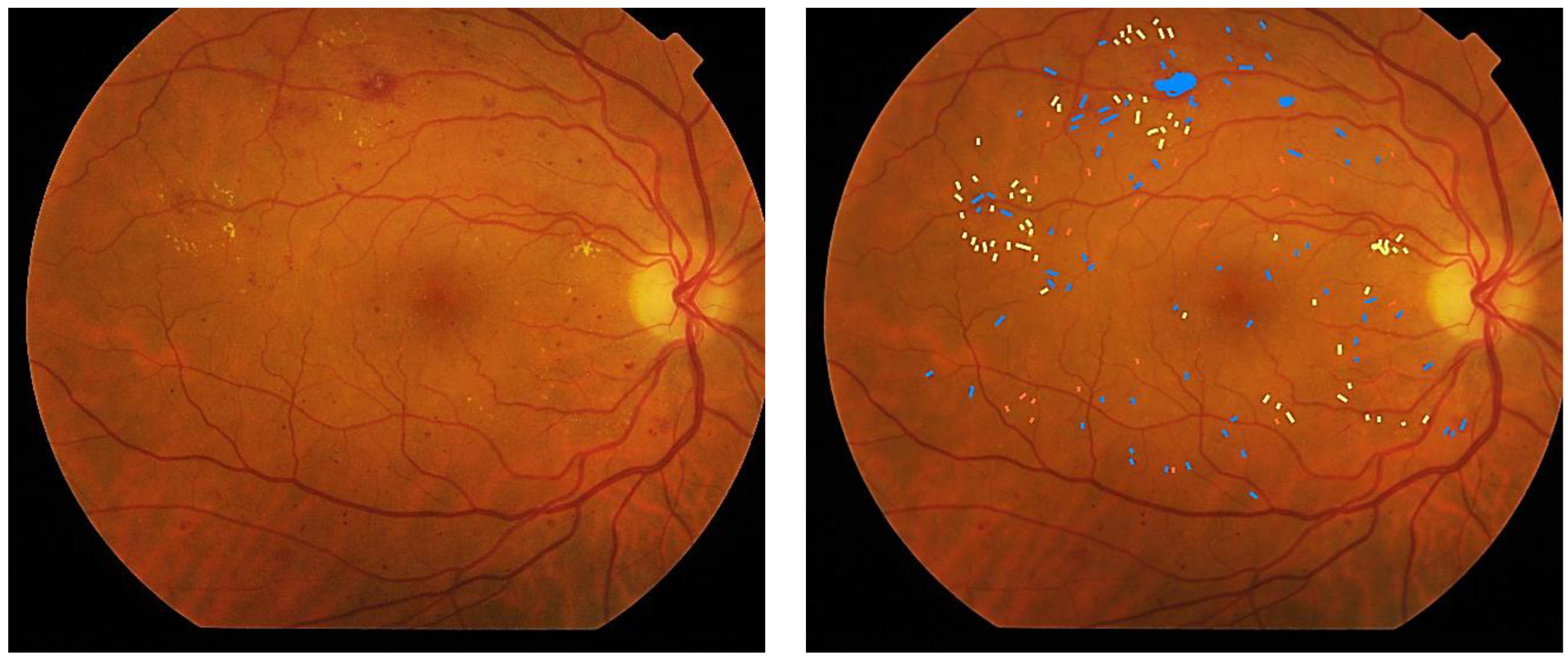 Jcm 12 03948 g001 Jcm 12 03948 g001