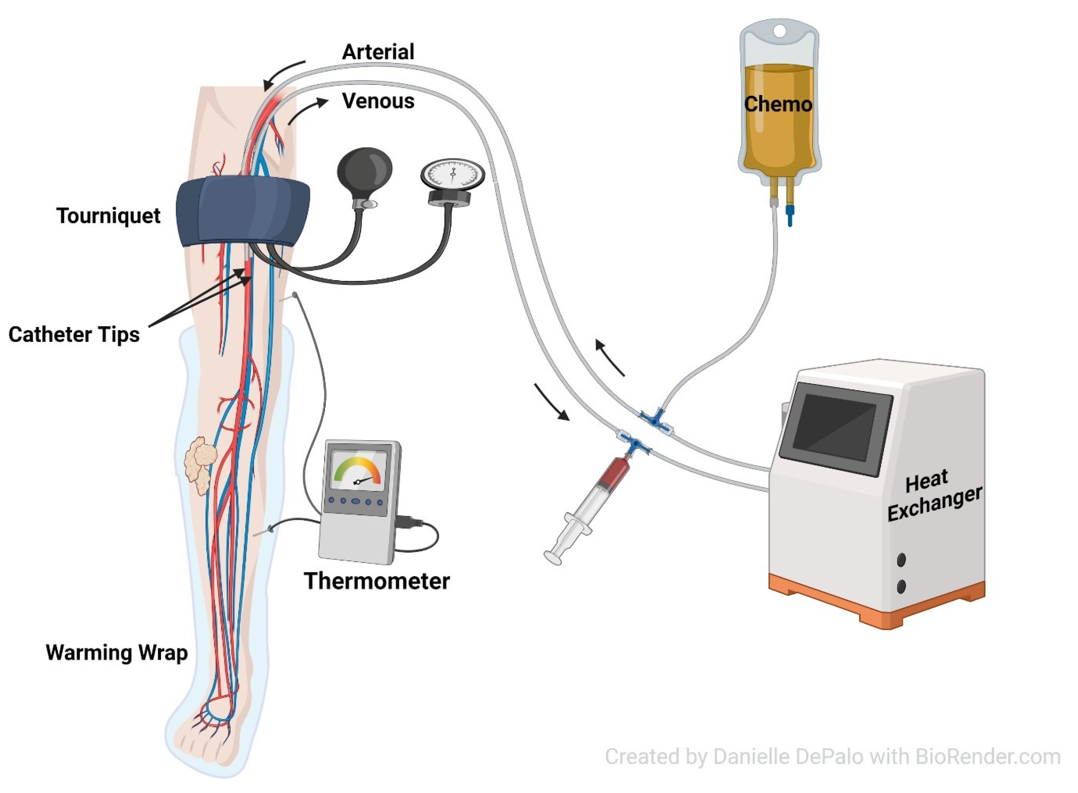 Jcm 12 04036 g001 Jcm 12 04036 g001