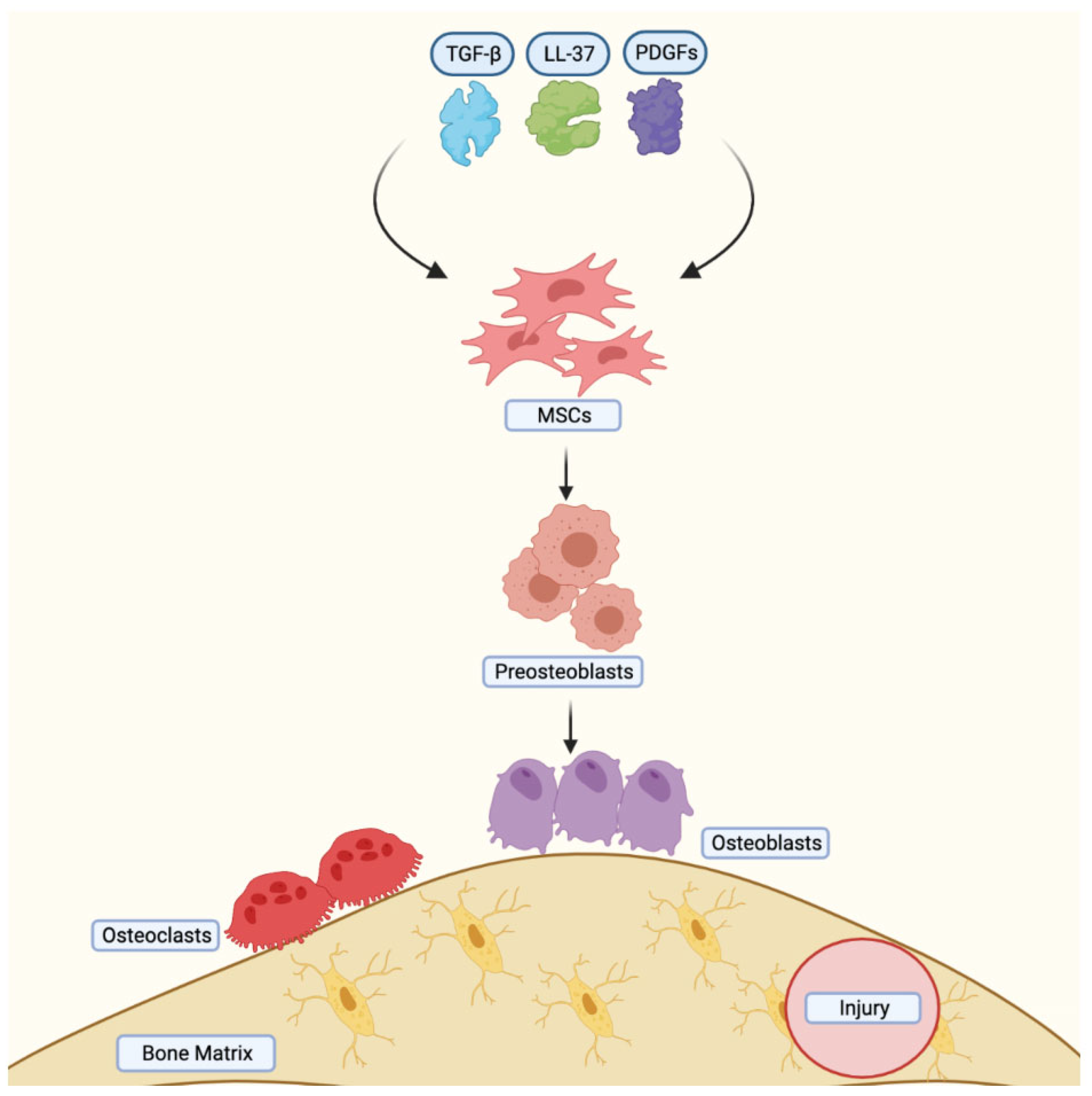 Jcm 12 04064 g003 Jcm 12 04064 g003