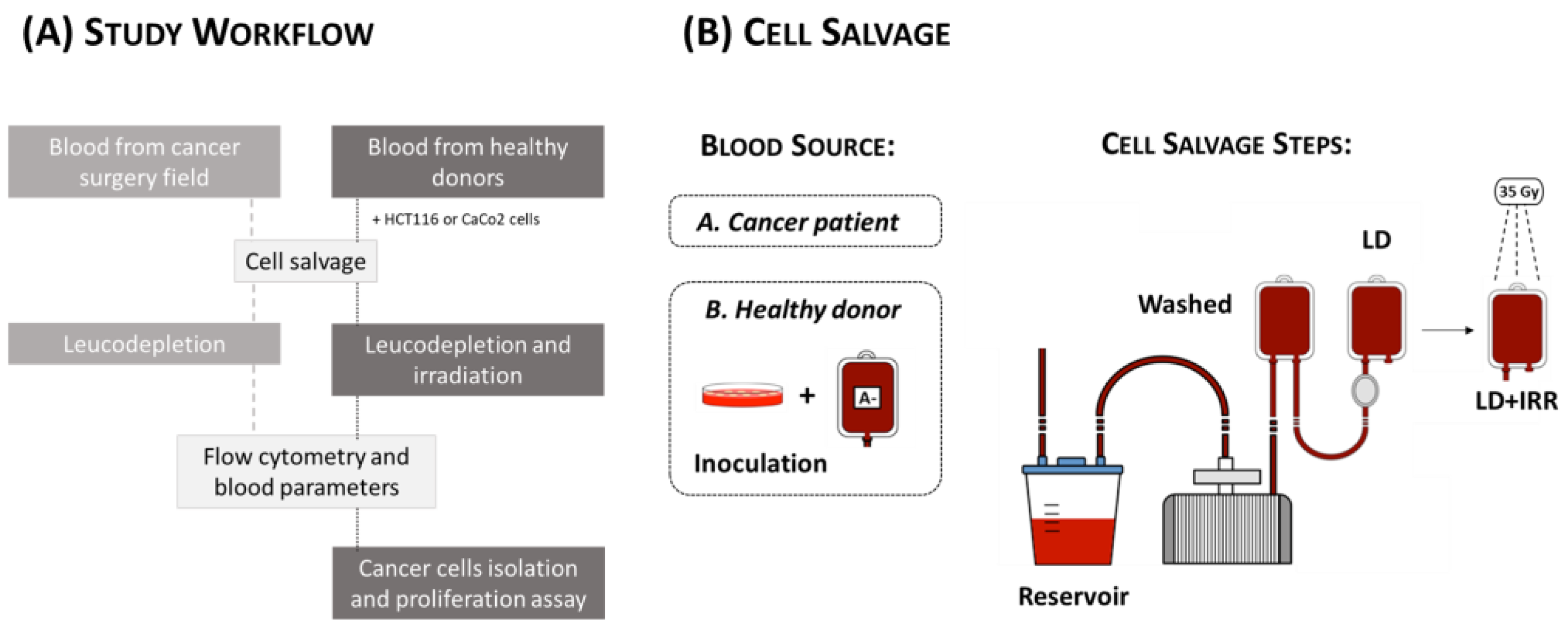 JCM Free FullText Reduction of EpCAMPositive Cells from a Cell
