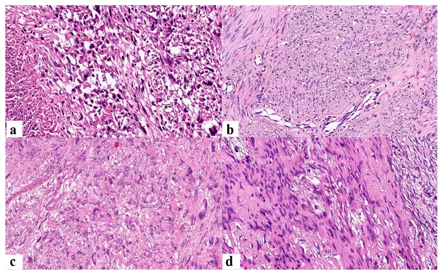 Jcm 12 04161 g002