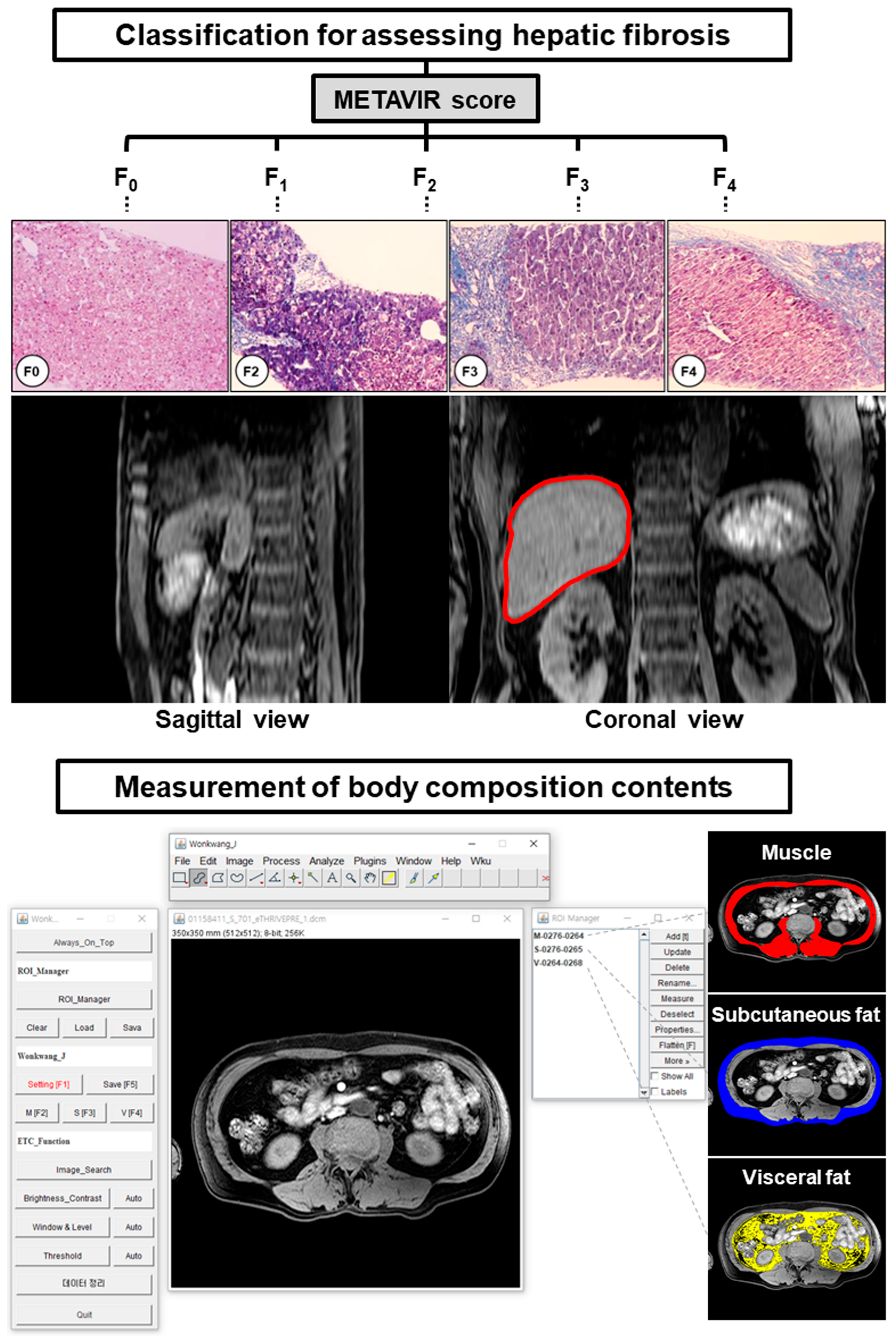 Jcm 12 04279 g002 Jcm 12 04279 g002