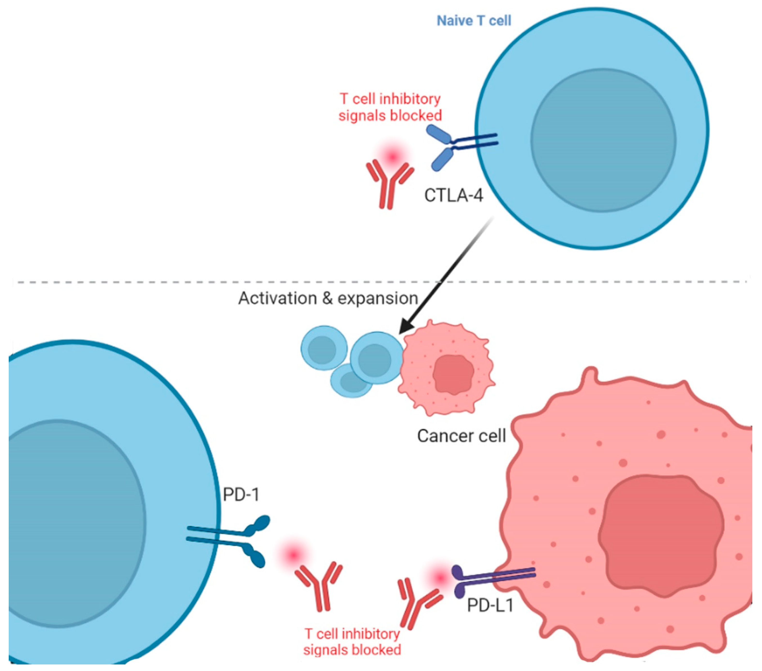 Jcm 12 04301 g001 Jcm 12 04301 g001