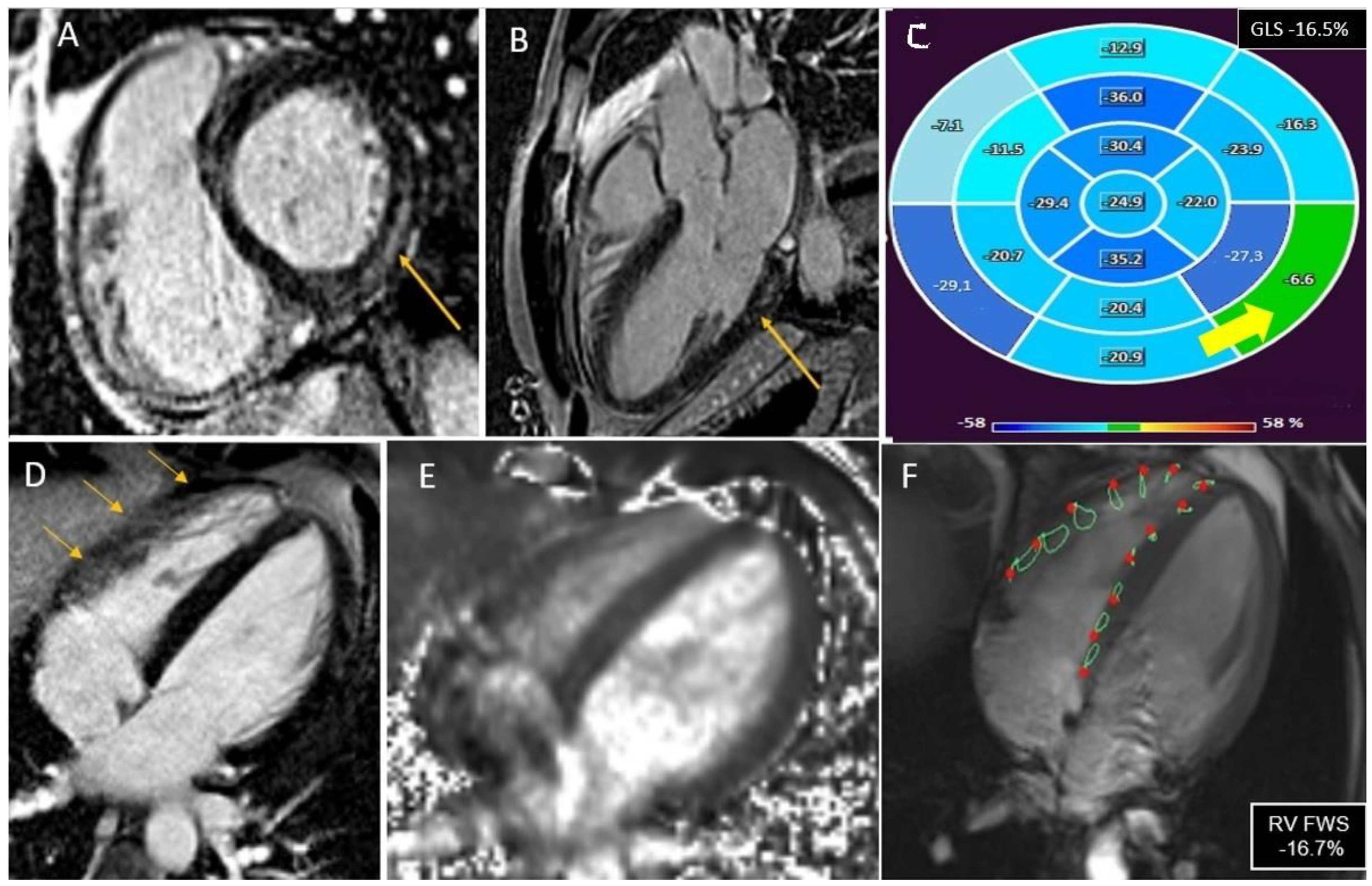 Jcm 12 04308 g001 Jcm 12 04308 g001
