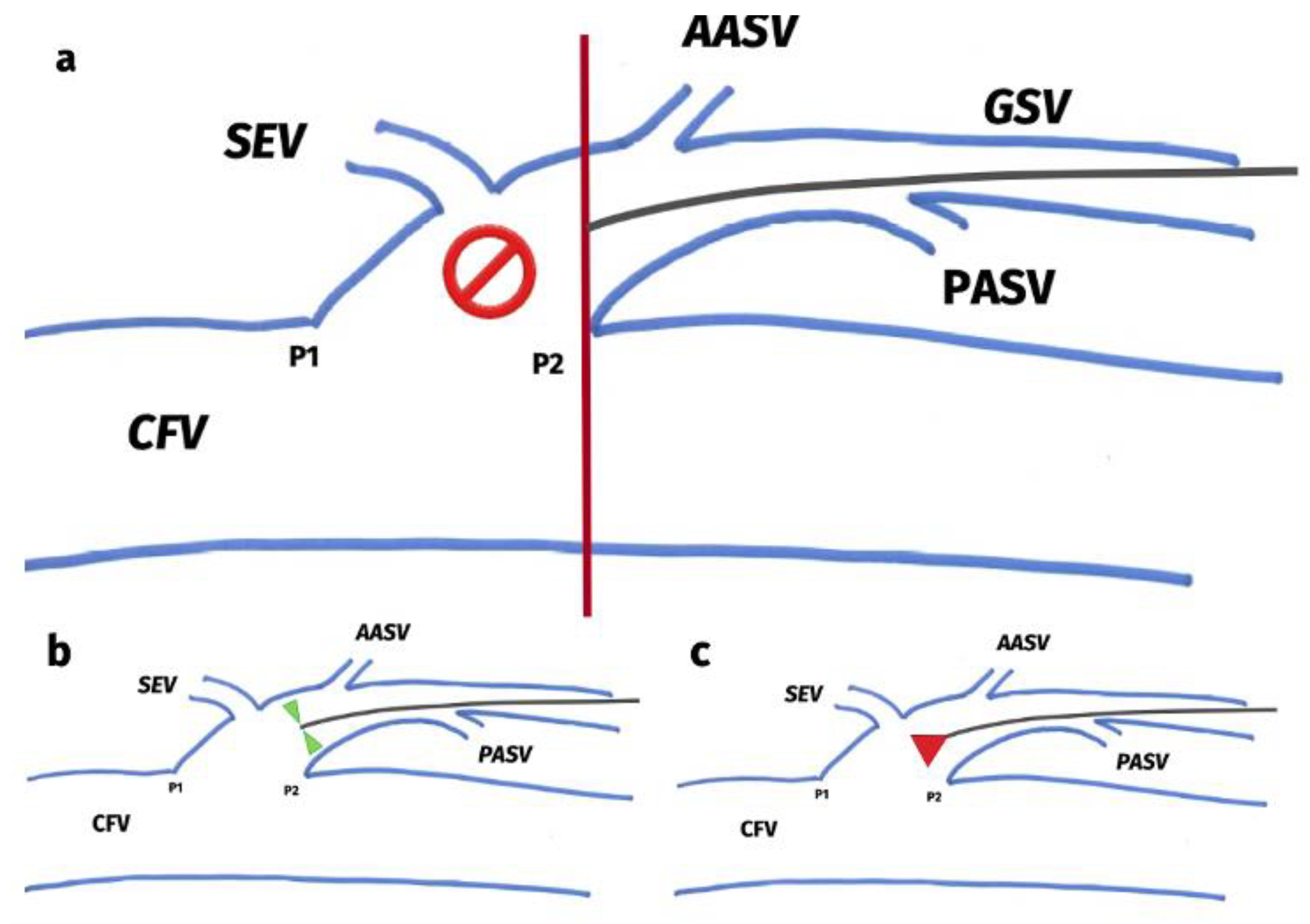 Jcm 12 04313 g003 Jcm 12 04313 g003