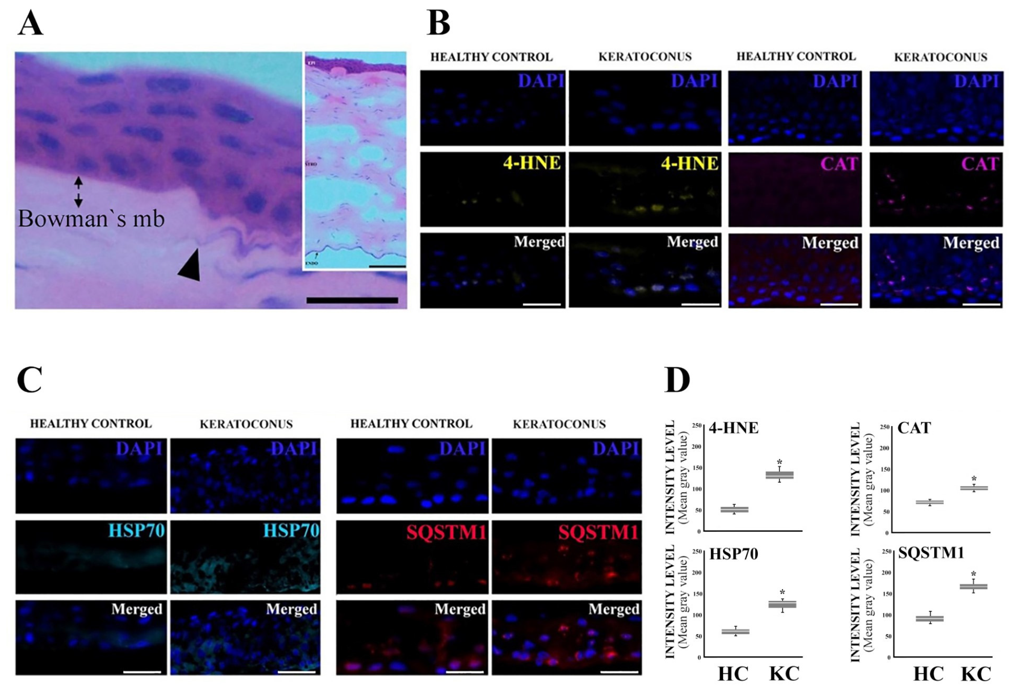 Jcm 12 04332 g001 Jcm 12 04332 g001