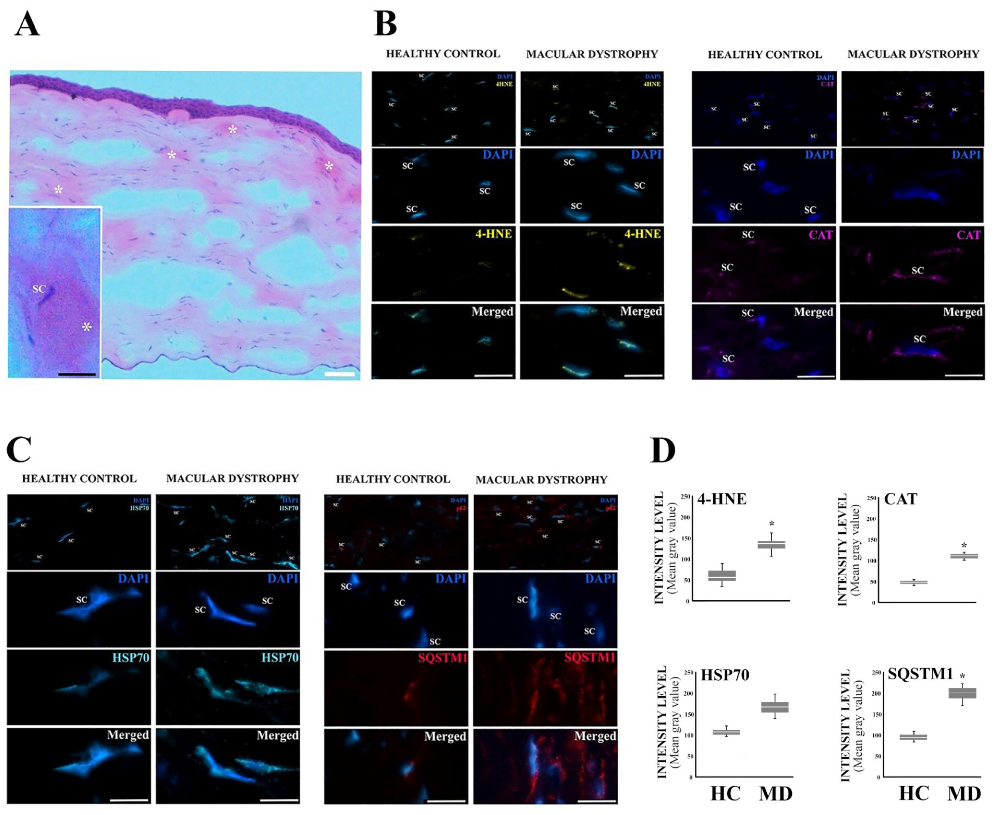 Jcm 12 04332 g002 Jcm 12 04332 g002