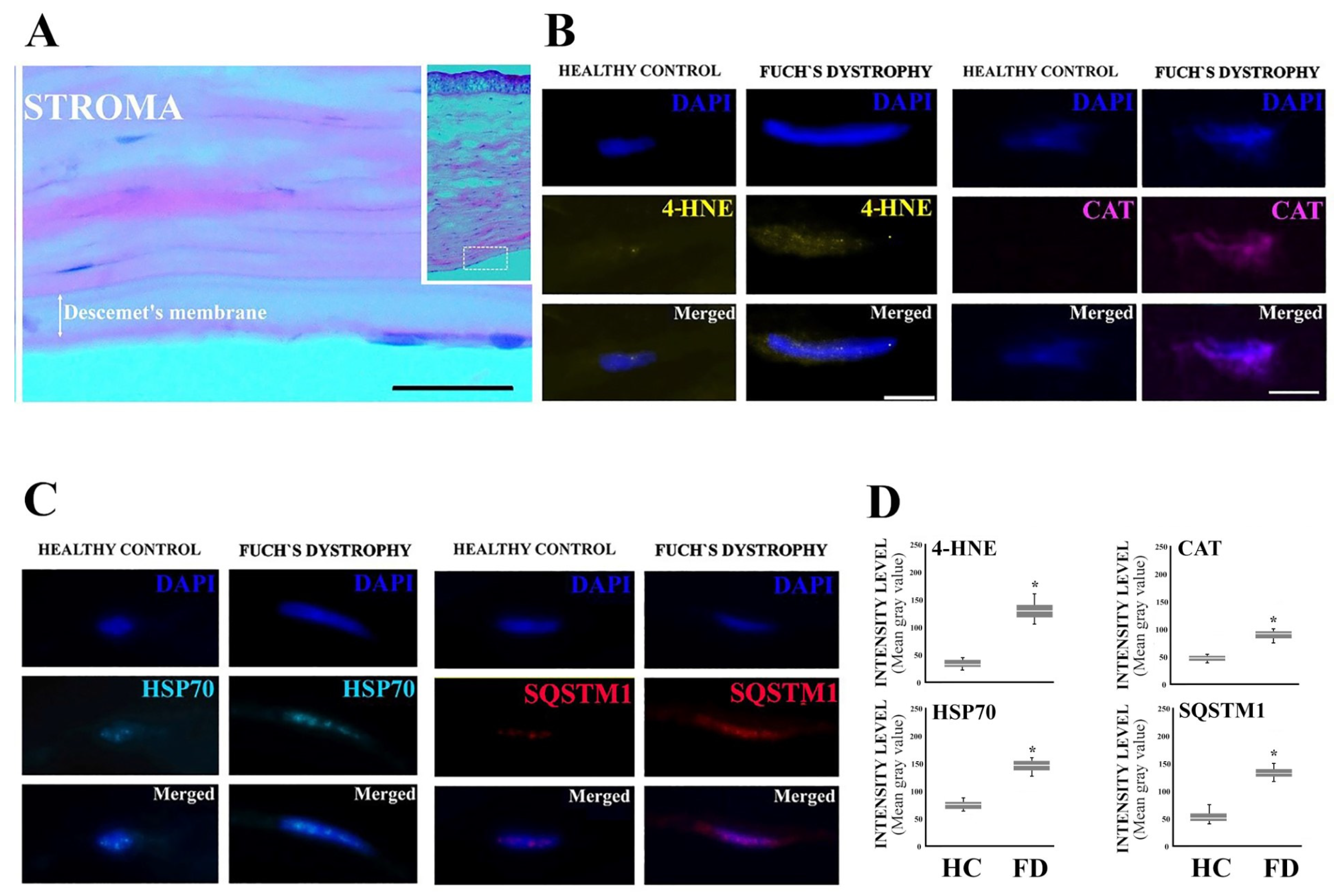 Jcm 12 04332 g003 Jcm 12 04332 g003