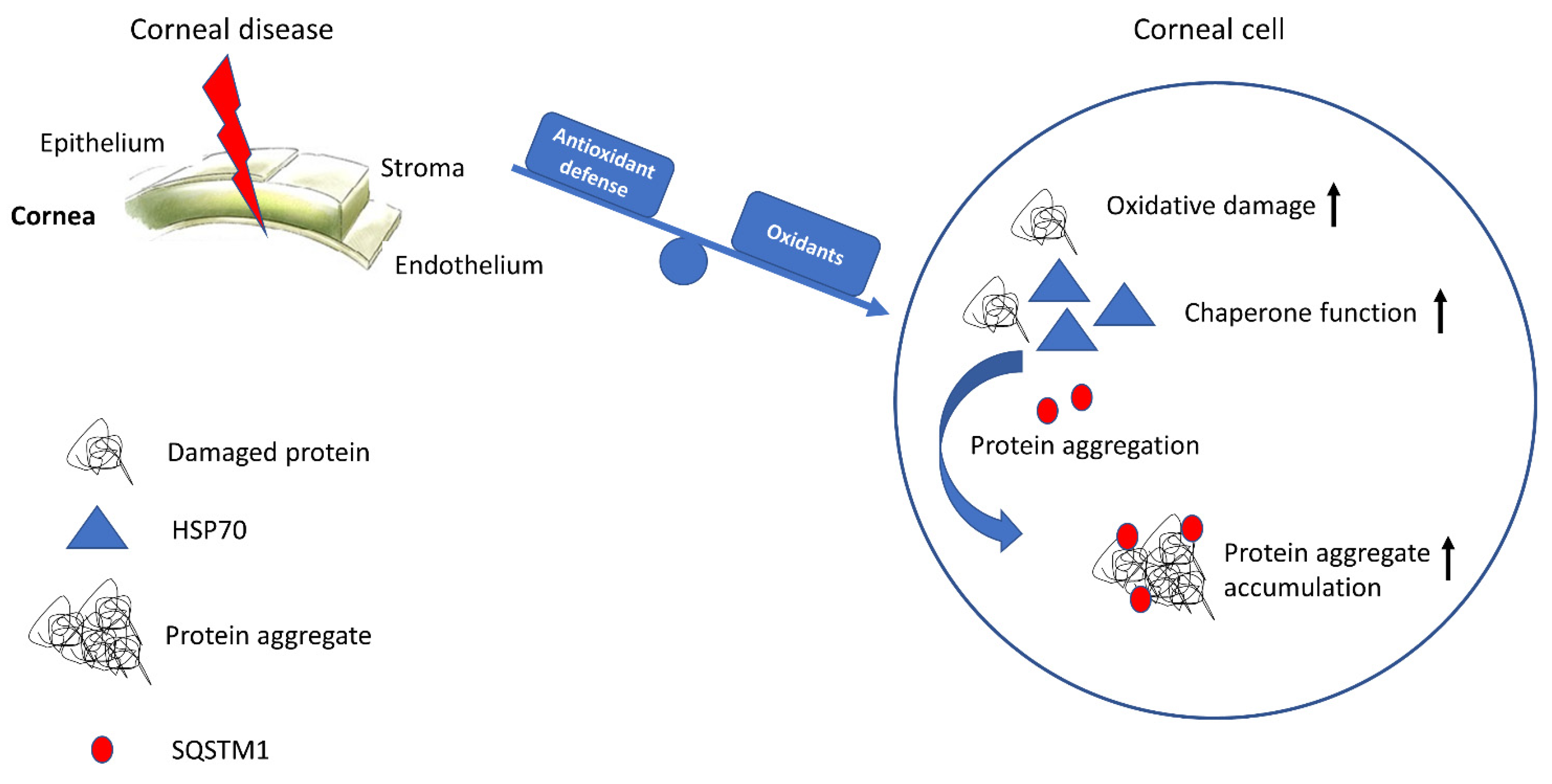 Jcm 12 04332 g004 Jcm 12 04332 g004