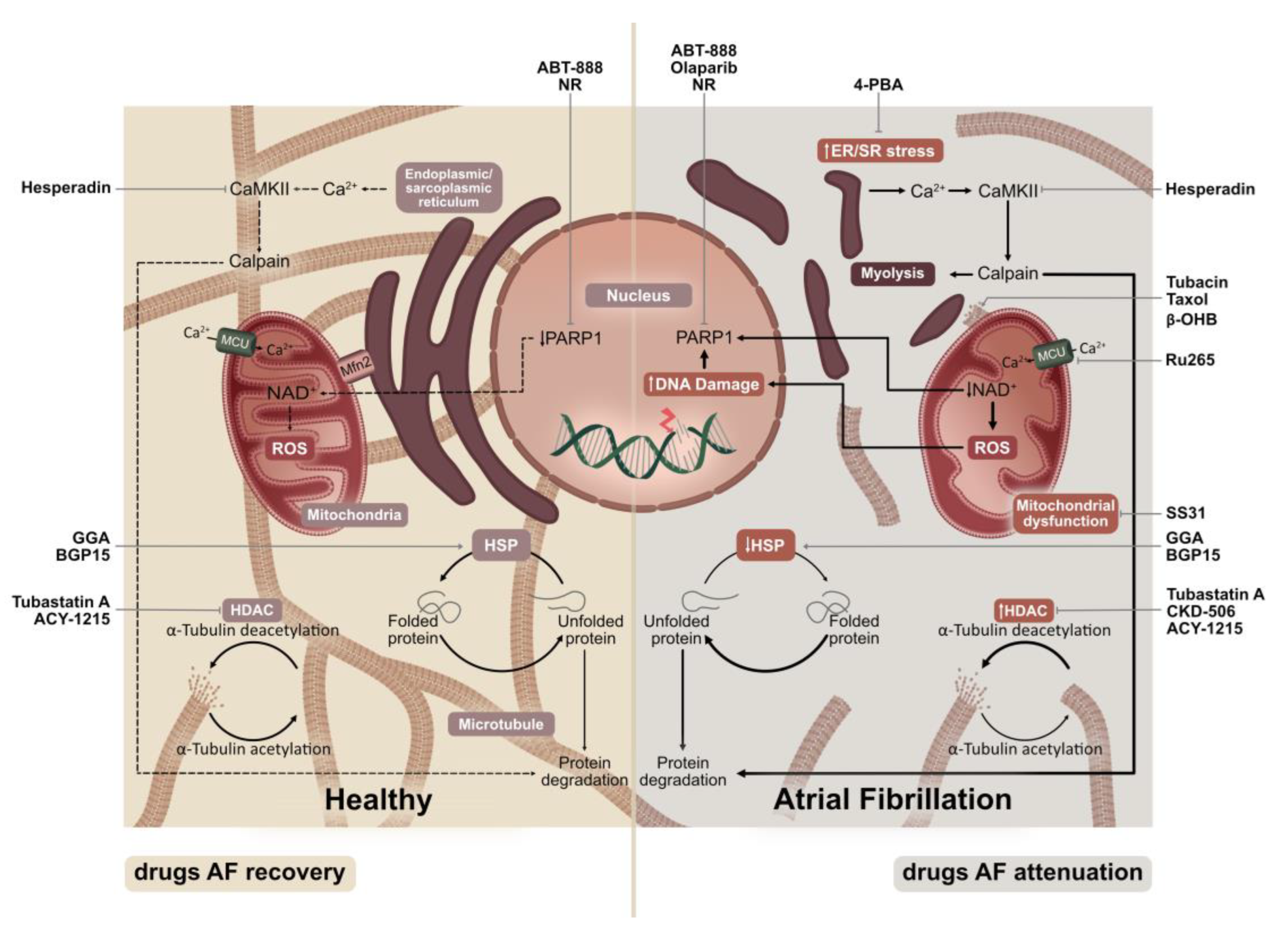 Jcm 12 04352 g001 Jcm 12 04352 g001