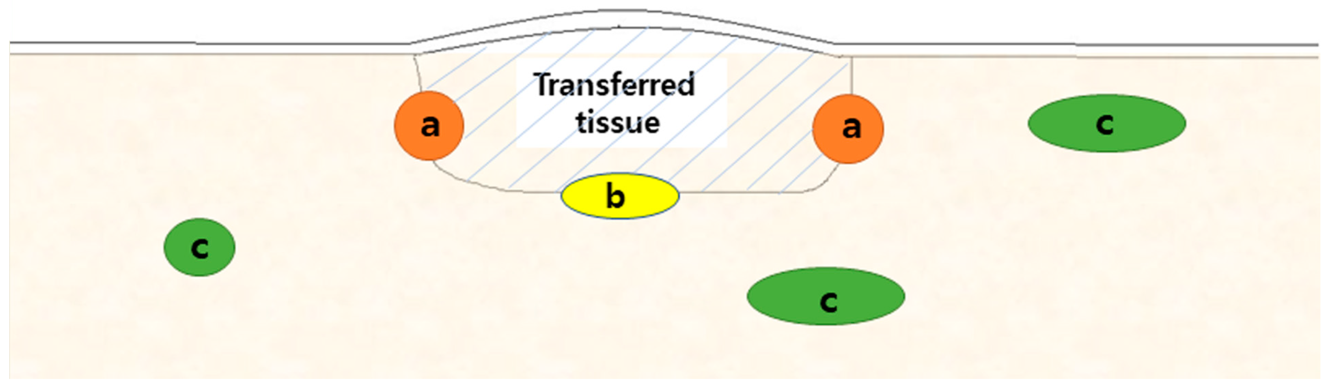 Jcm 12 04369 g002 Jcm 12 04369 g002
