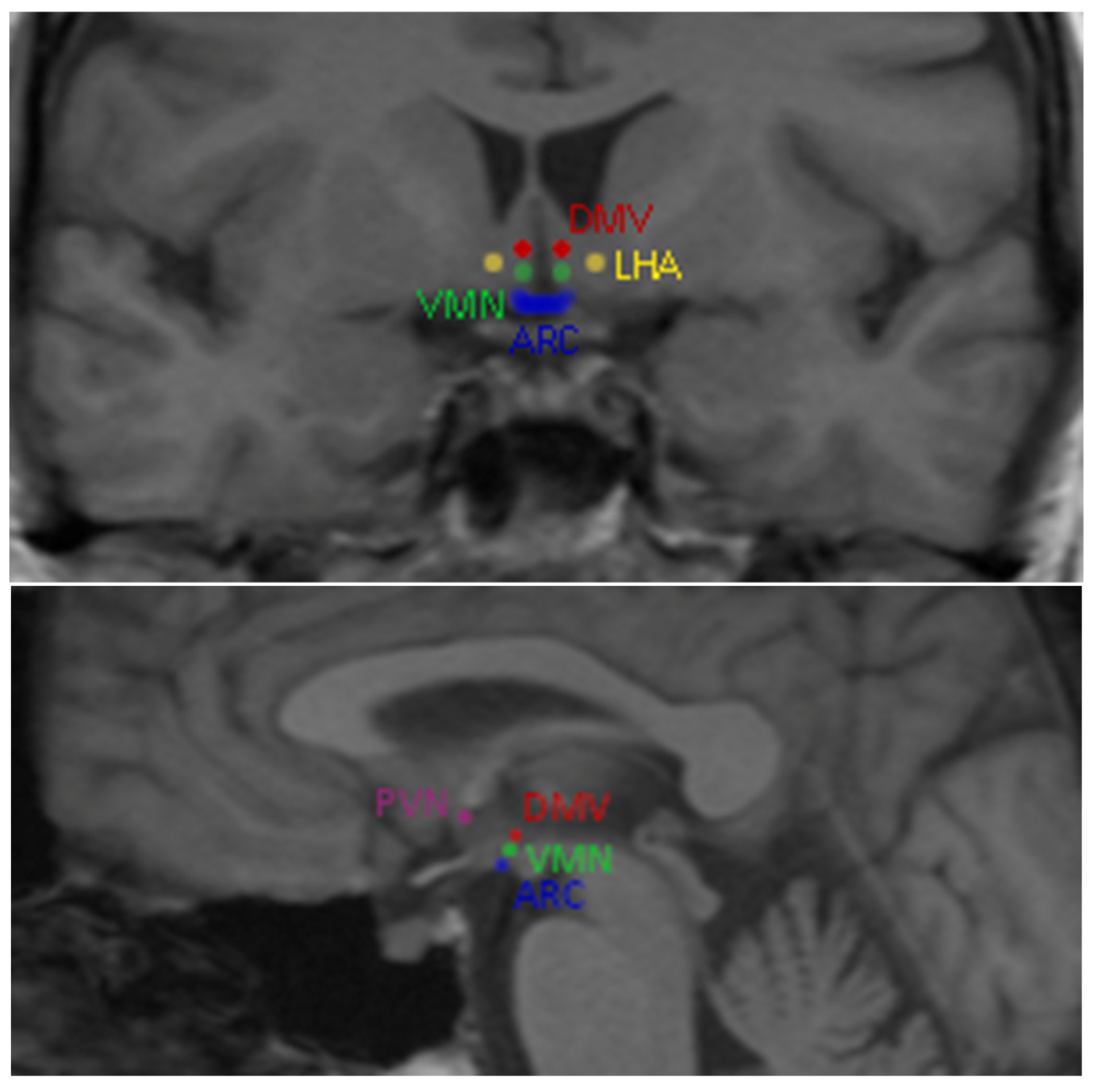 Jcm 12 04379 g001 Jcm 12 04379 g001