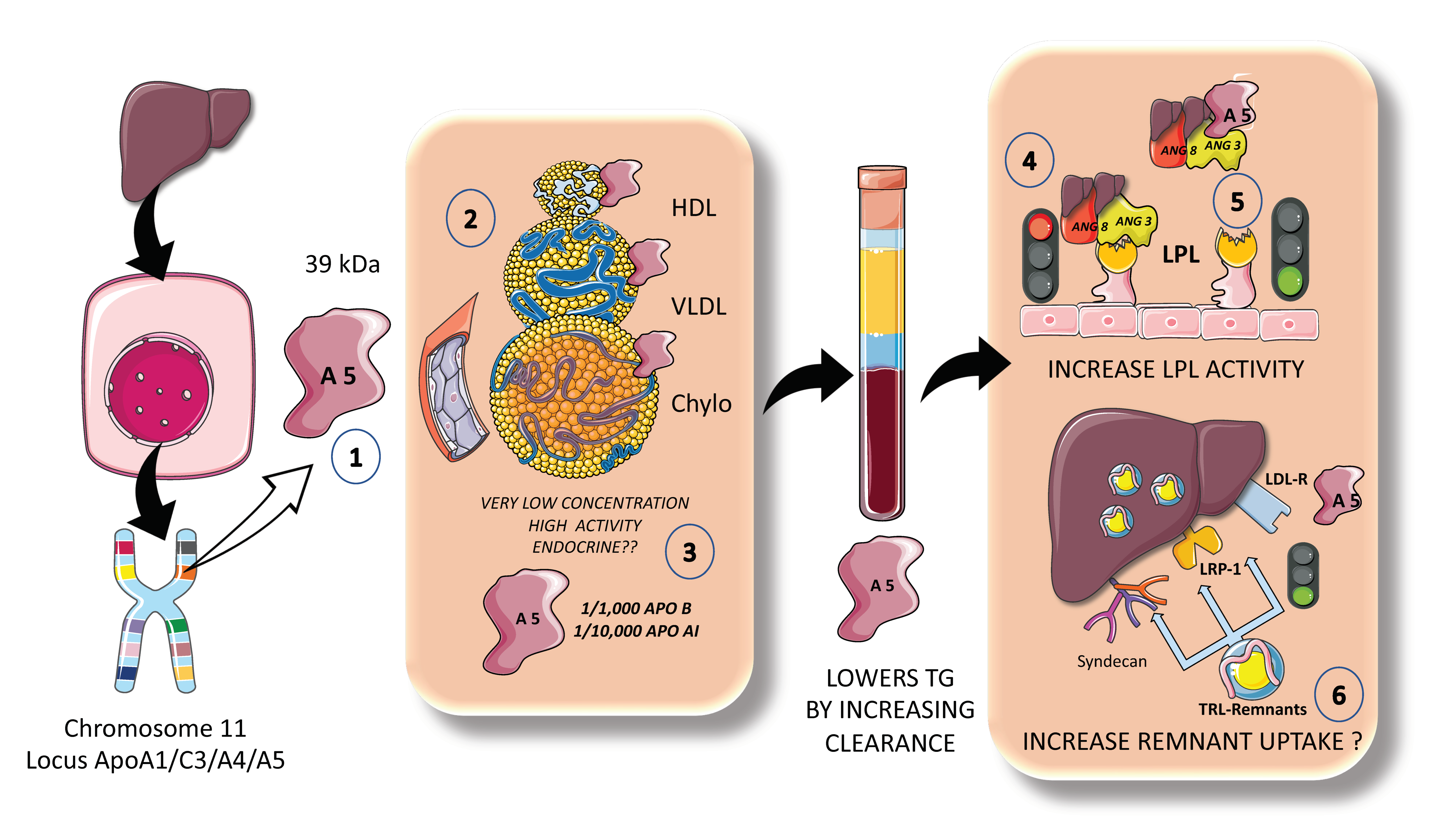 Jcm 12 04399 g008 Jcm 12 04399 g008
