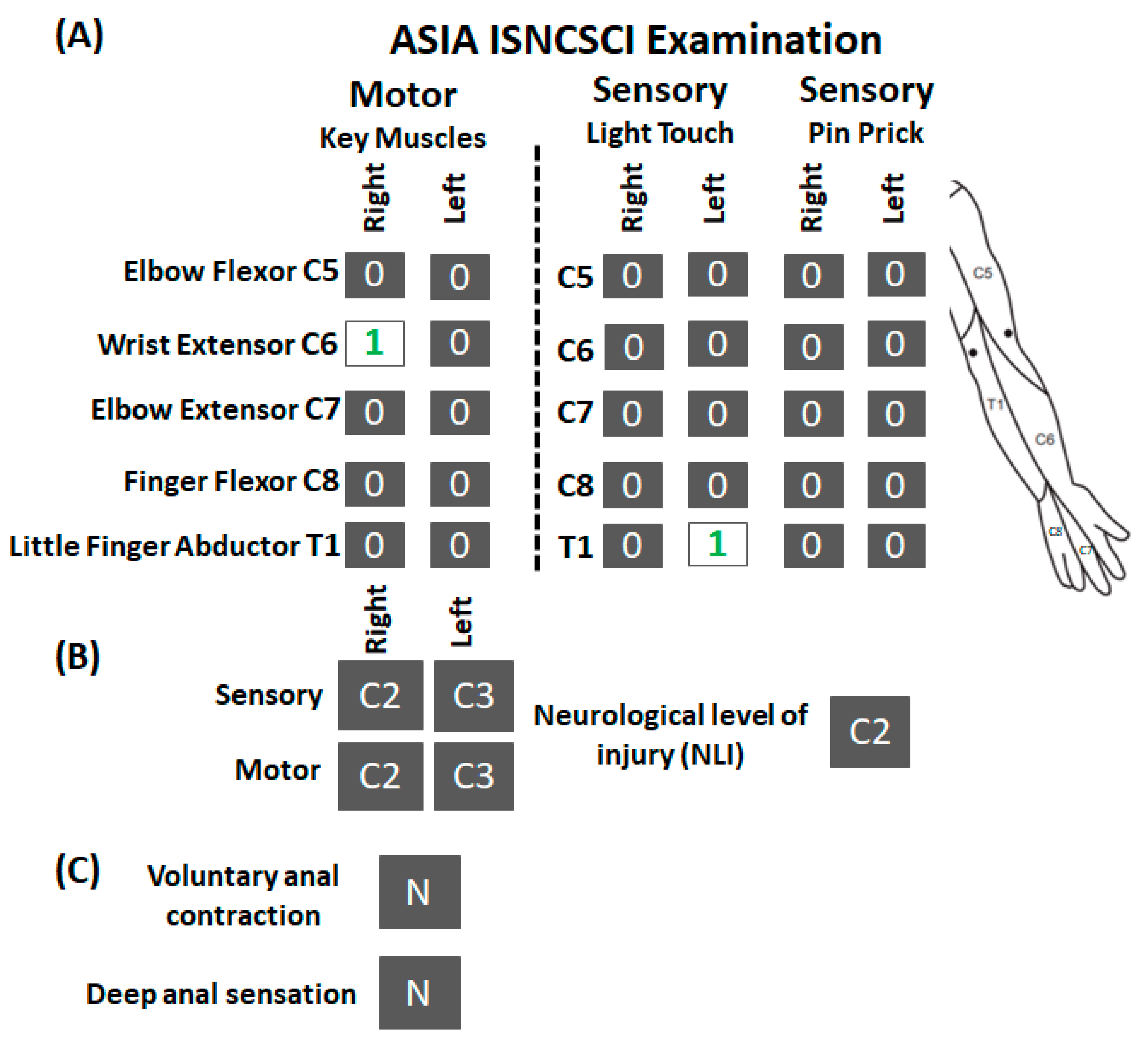 Jcm 12 04416 g001 Jcm 12 04416 g001