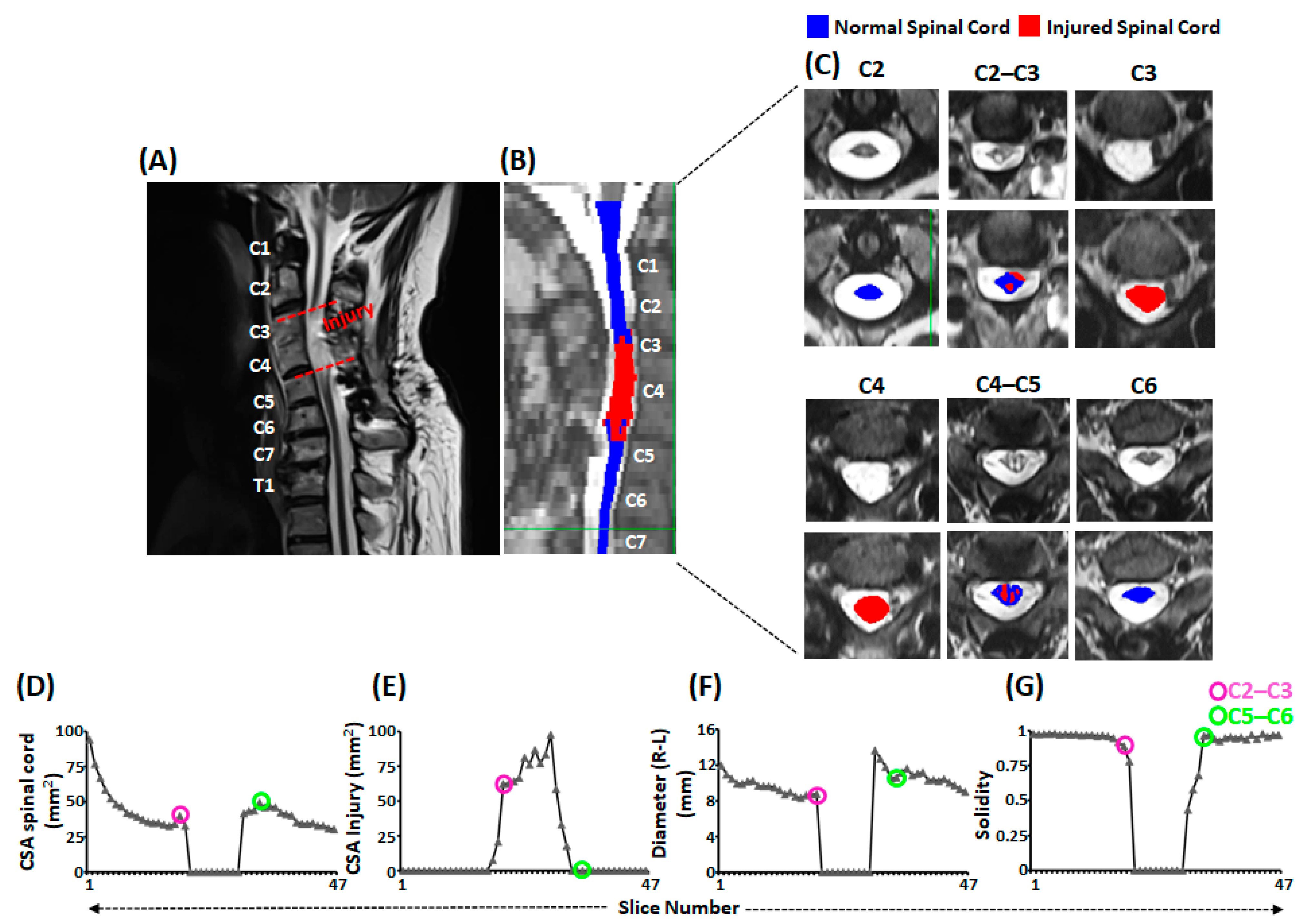 Jcm 12 04416 g003 Jcm 12 04416 g003