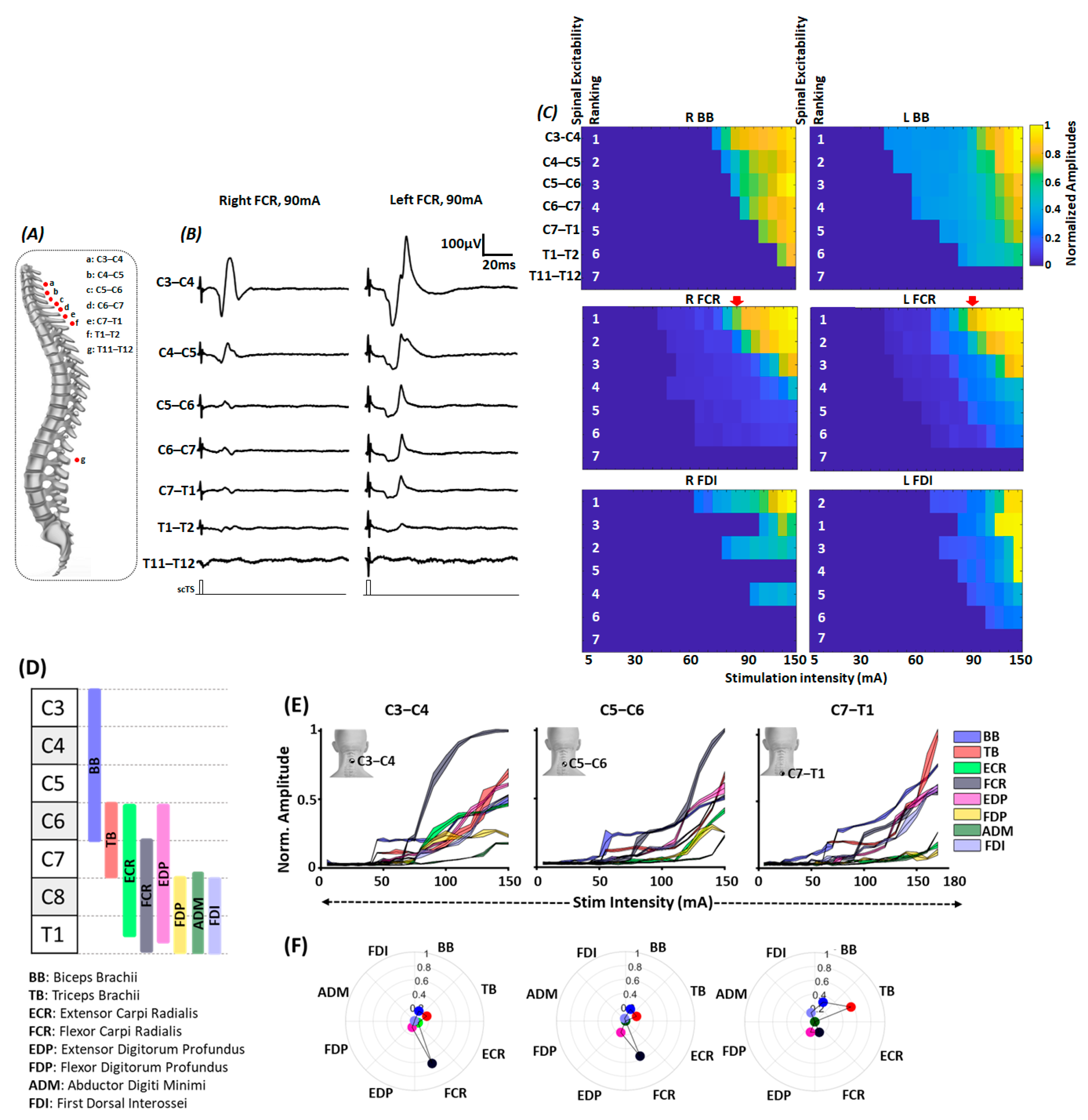 Jcm 12 04416 g004 Jcm 12 04416 g004
