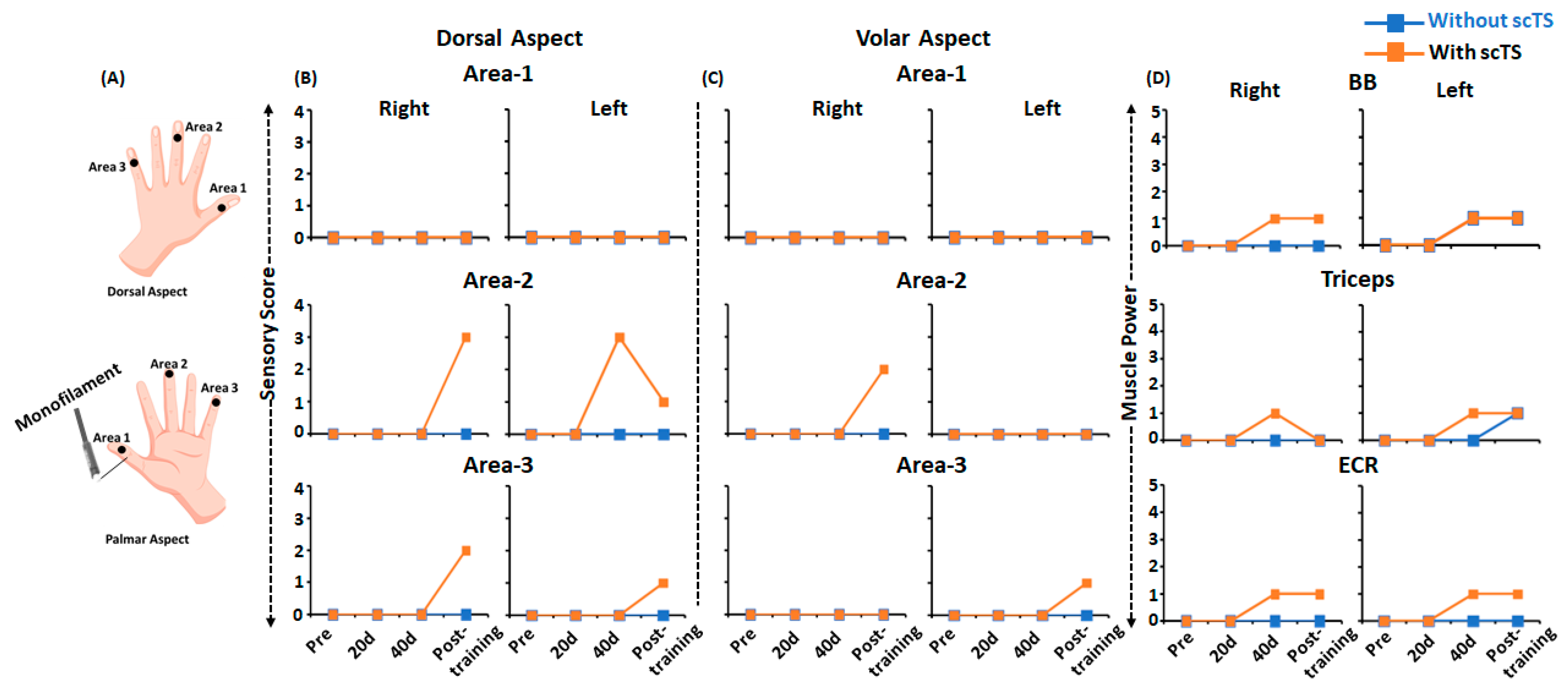 Jcm 12 04416 g008 Jcm 12 04416 g008