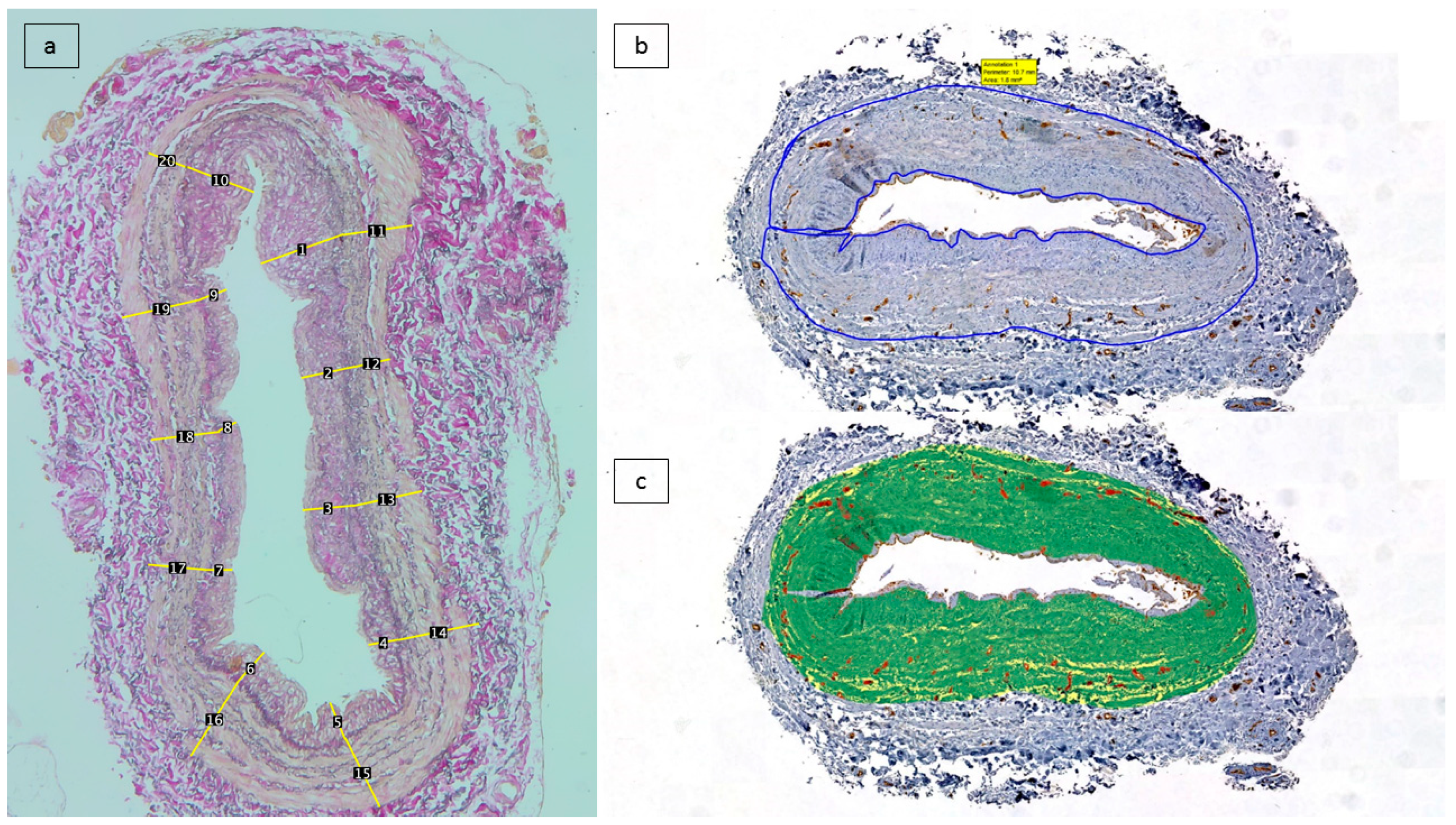 Jcm 12 04419 g001 Jcm 12 04419 g001