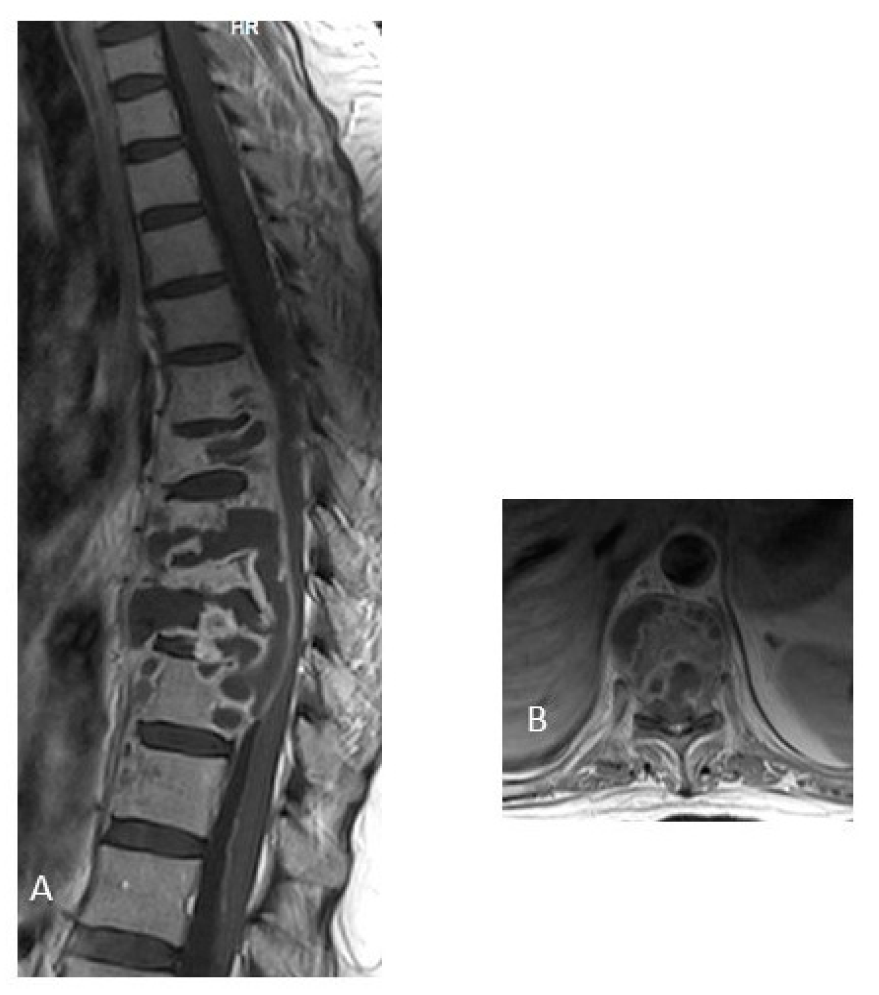 Jcm 12 04533 g004 Jcm 12 04533 g004