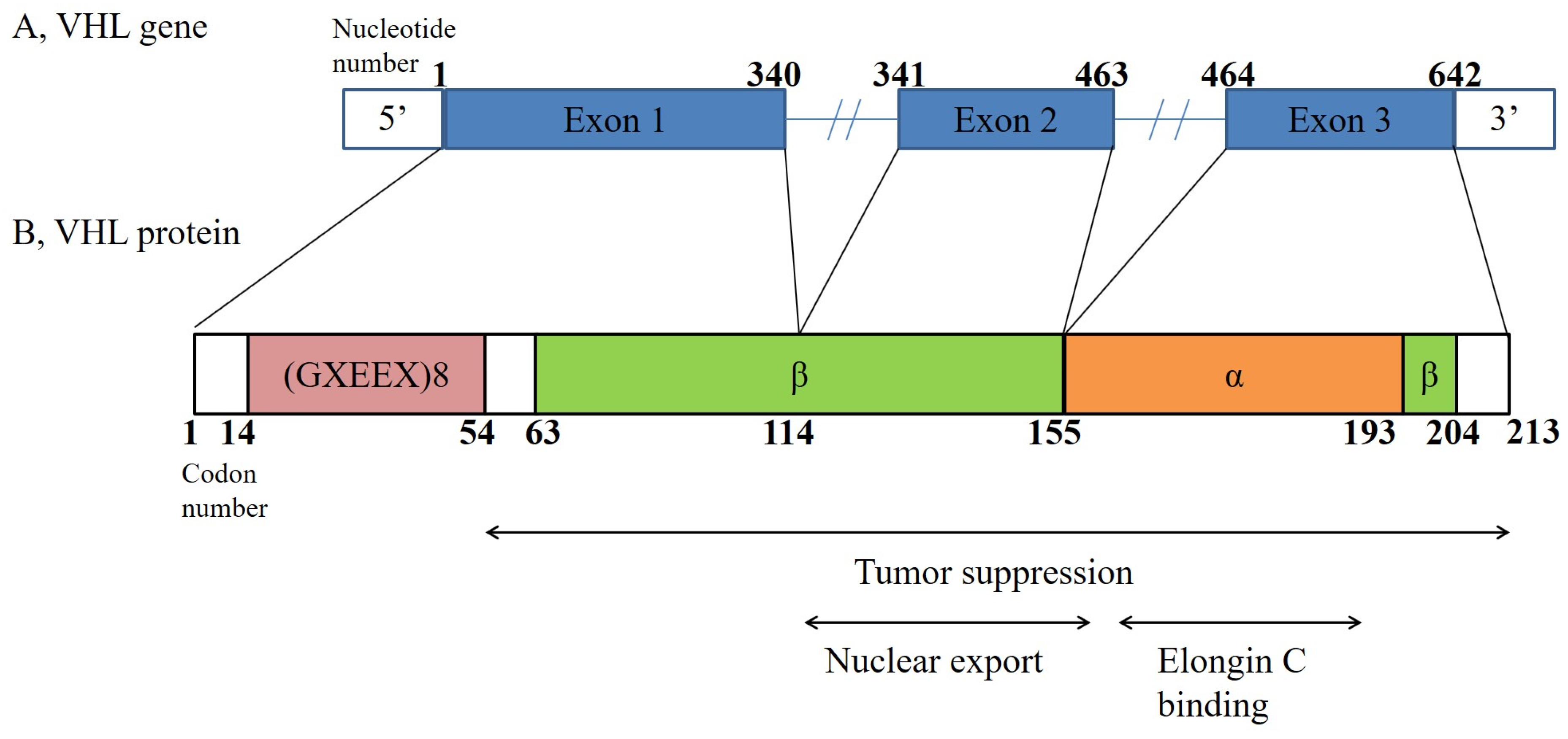 Jcm 12 04538 g001 Jcm 12 04538 g001