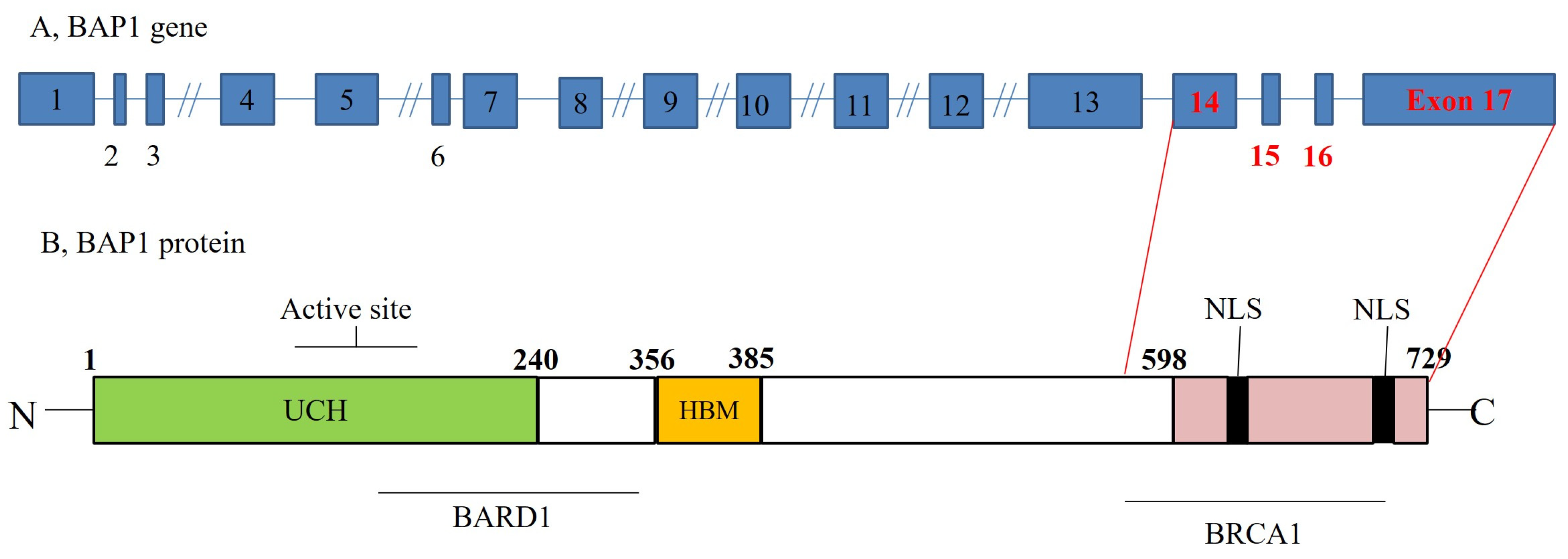 Jcm 12 04538 g002 Jcm 12 04538 g002