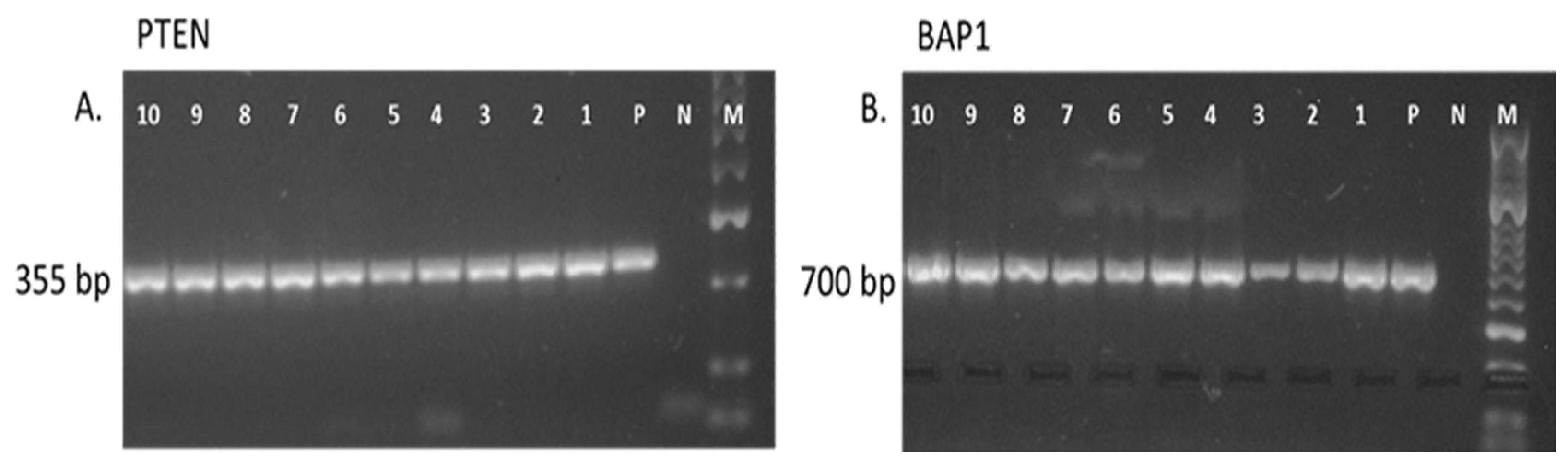 Jcm 12 04538 g004 Jcm 12 04538 g004