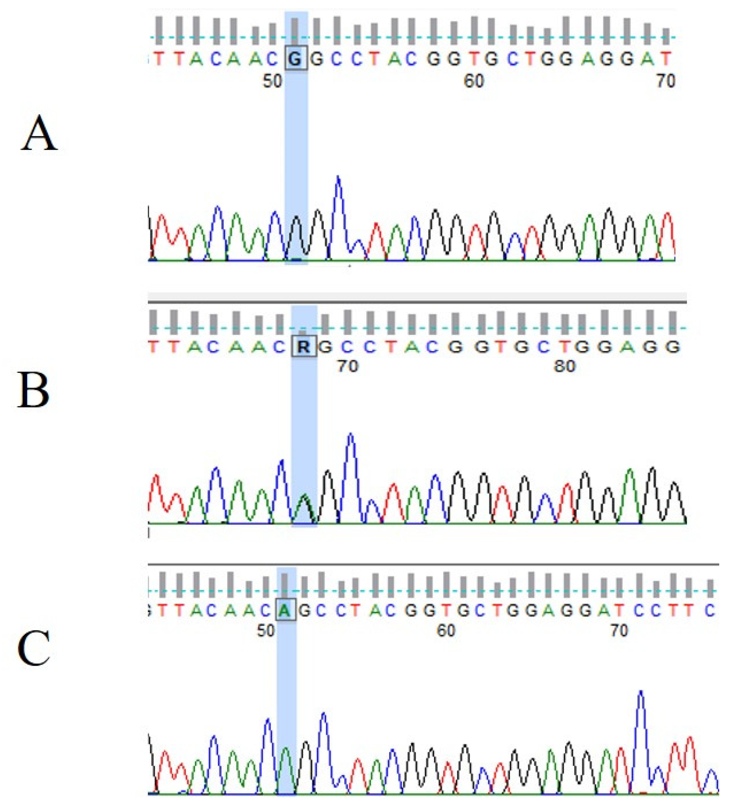 Jcm 12 04538 g006 Jcm 12 04538 g006