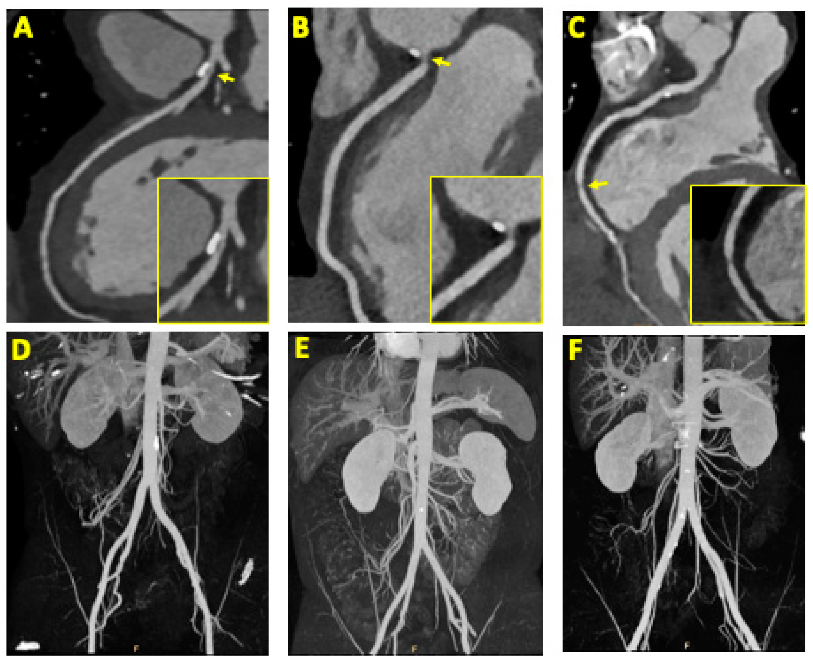 Jcm 12 04541 g001 Jcm 12 04541 g001