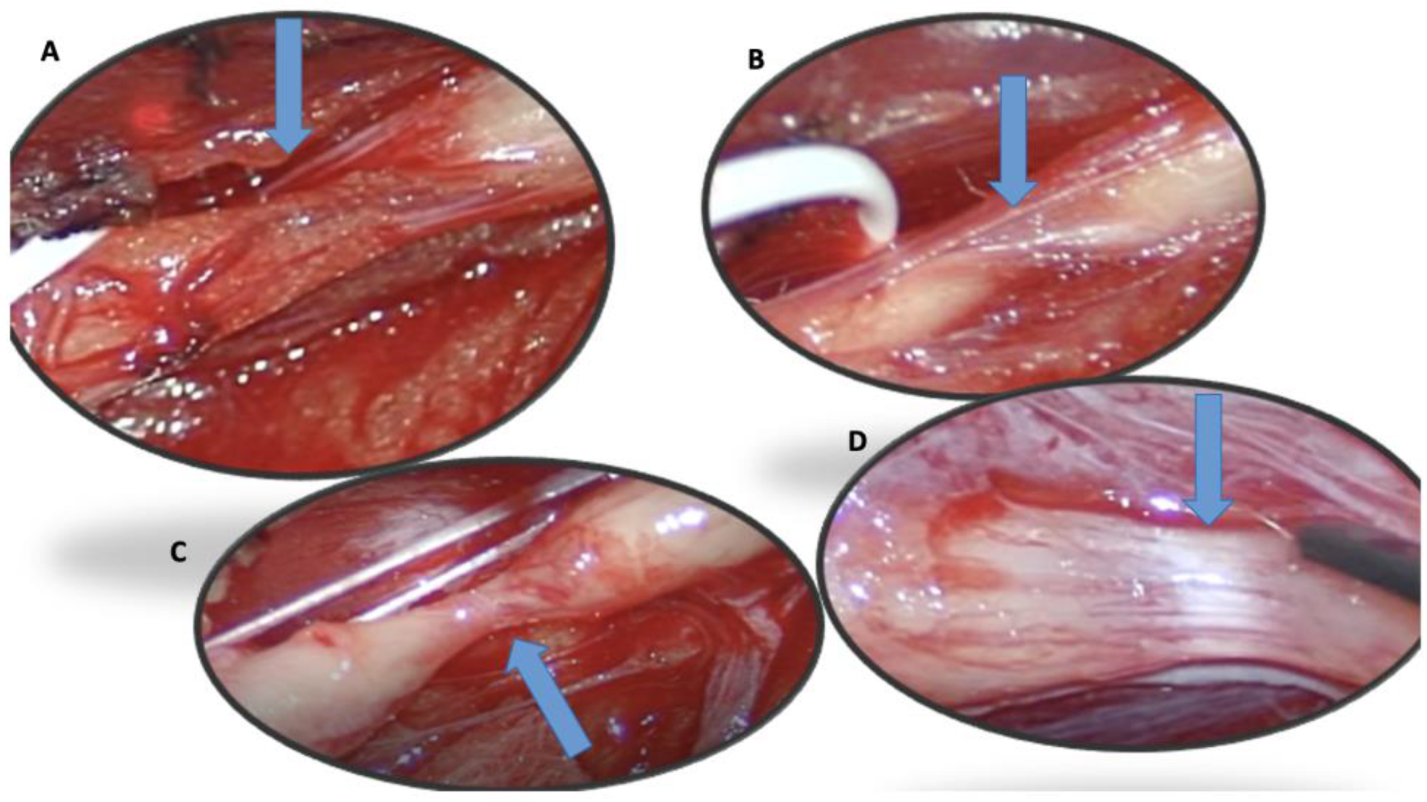 Jcm 12 04542 g002 Jcm 12 04542 g002