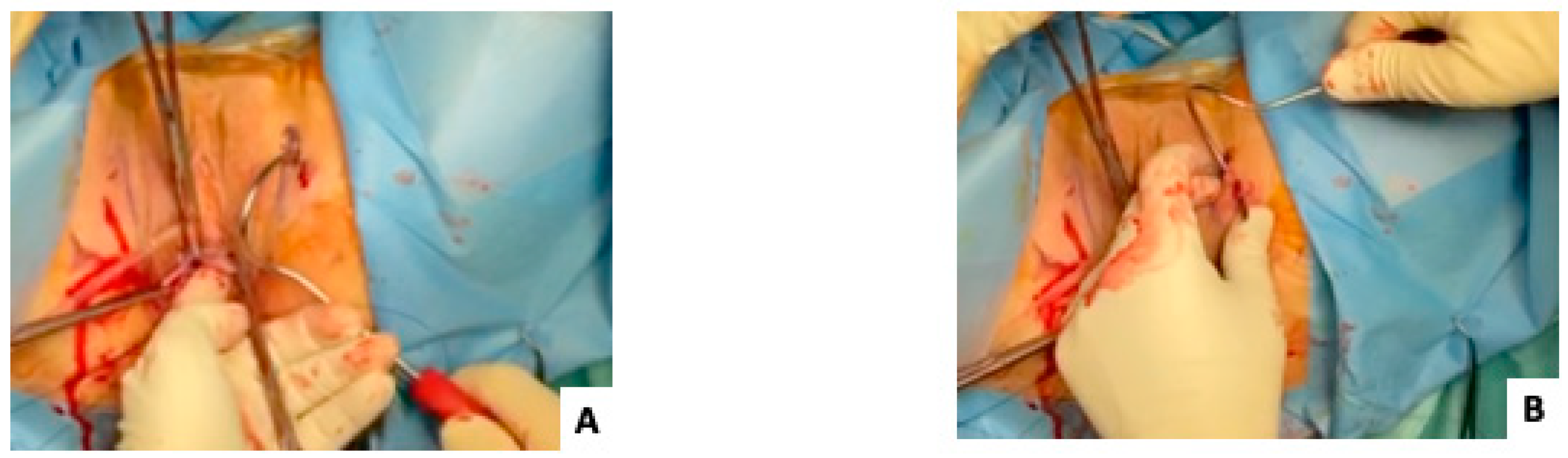 Jcm 12 04582 g002 Jcm 12 04582 g002