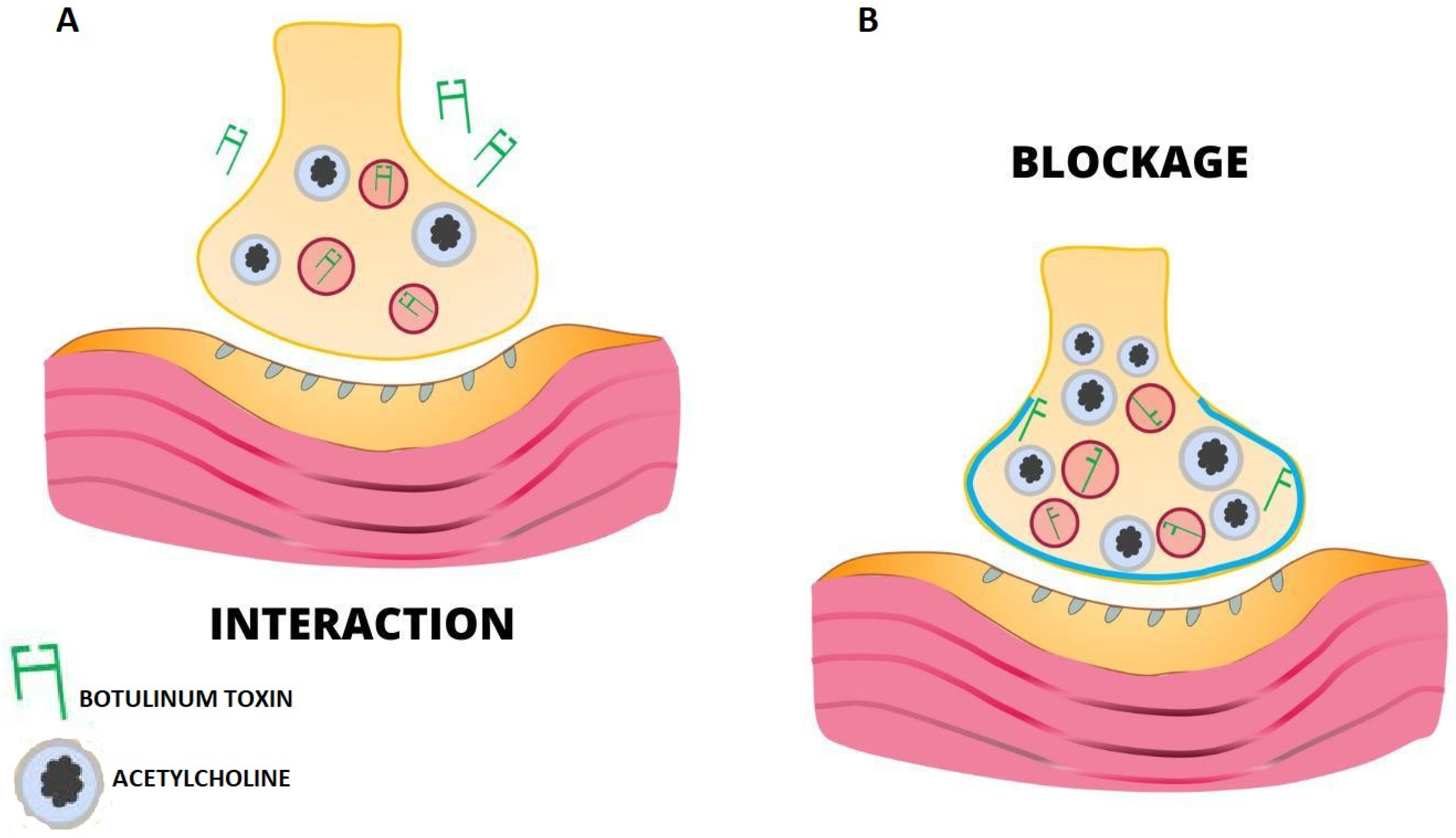 Jcm 12 04586 g001 Jcm 12 04586 g001