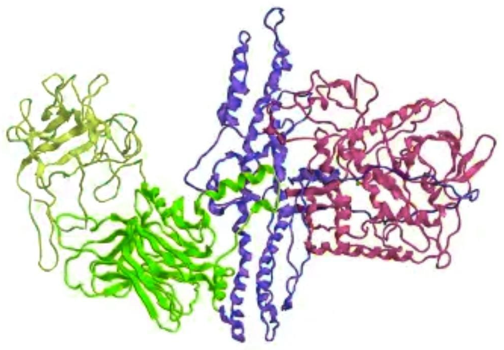 Jcm 12 04586 g002 Jcm 12 04586 g002