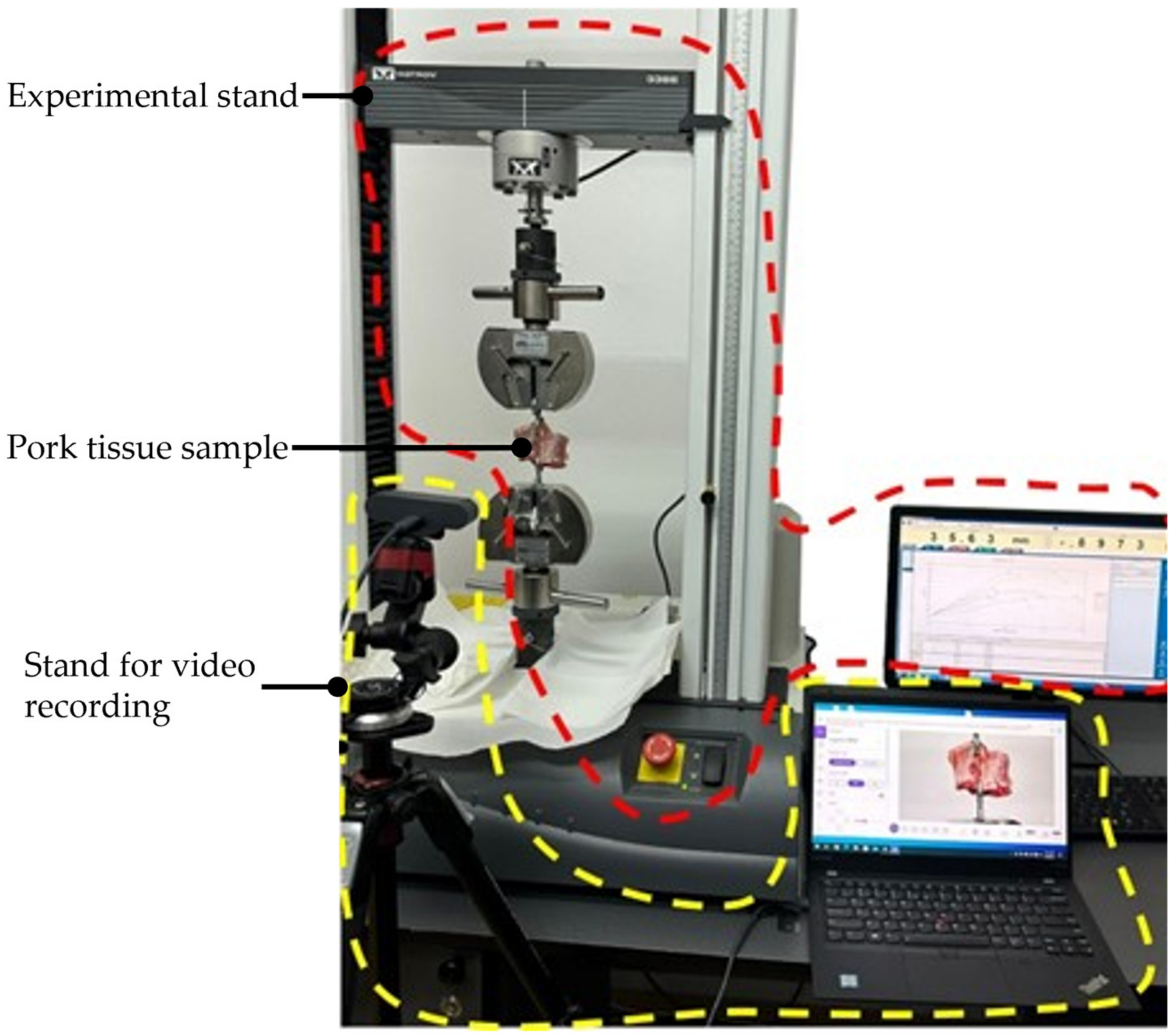 Jcm 12 04617 g011 Jcm 12 04617 g011