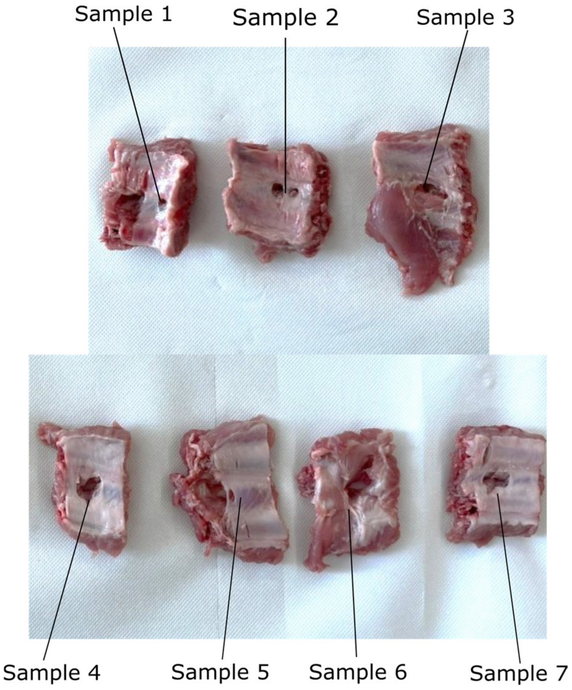 Jcm 12 04617 g012 Jcm 12 04617 g012