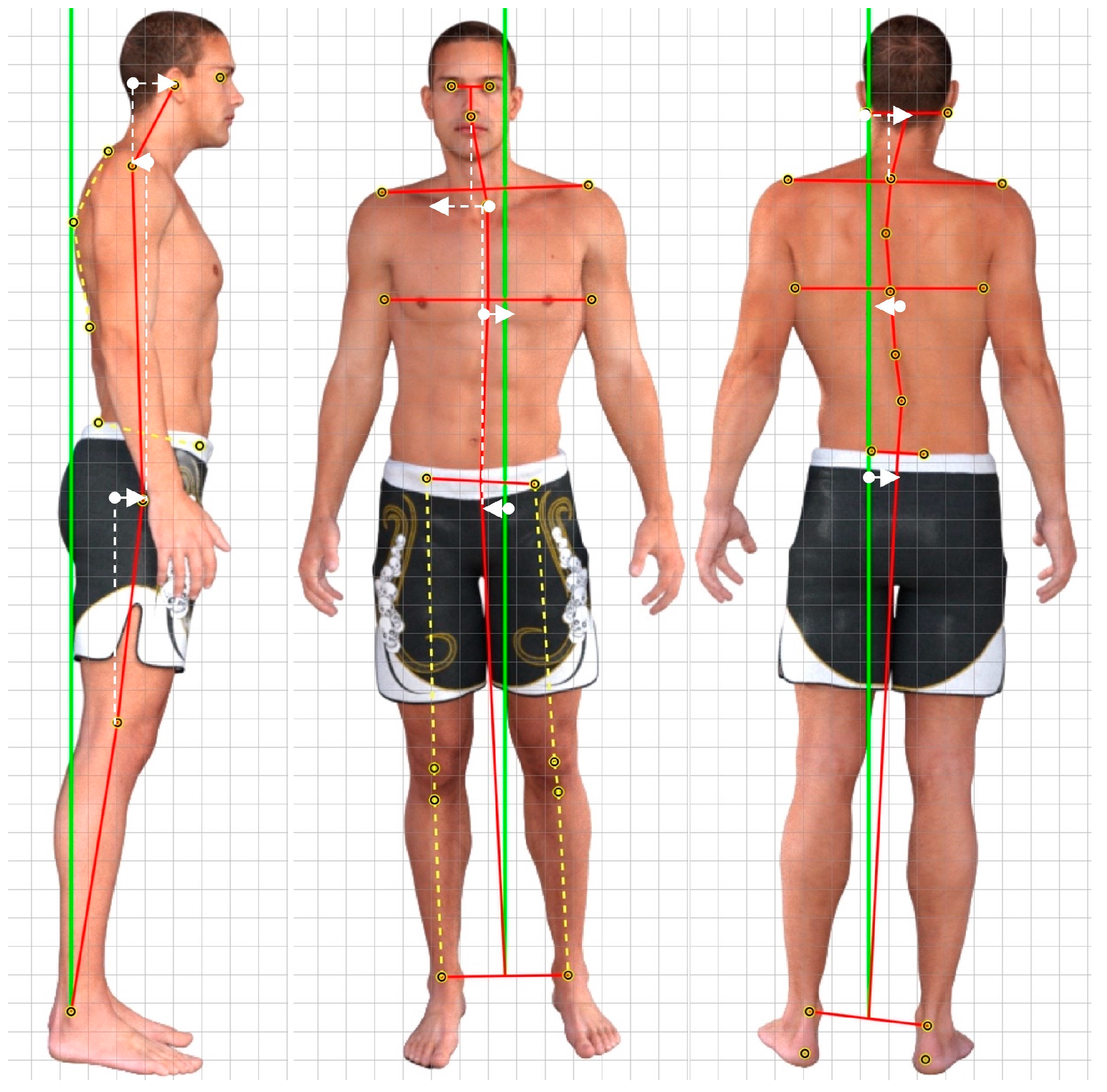 Jcm 12 04618 g001 Jcm 12 04618 g001