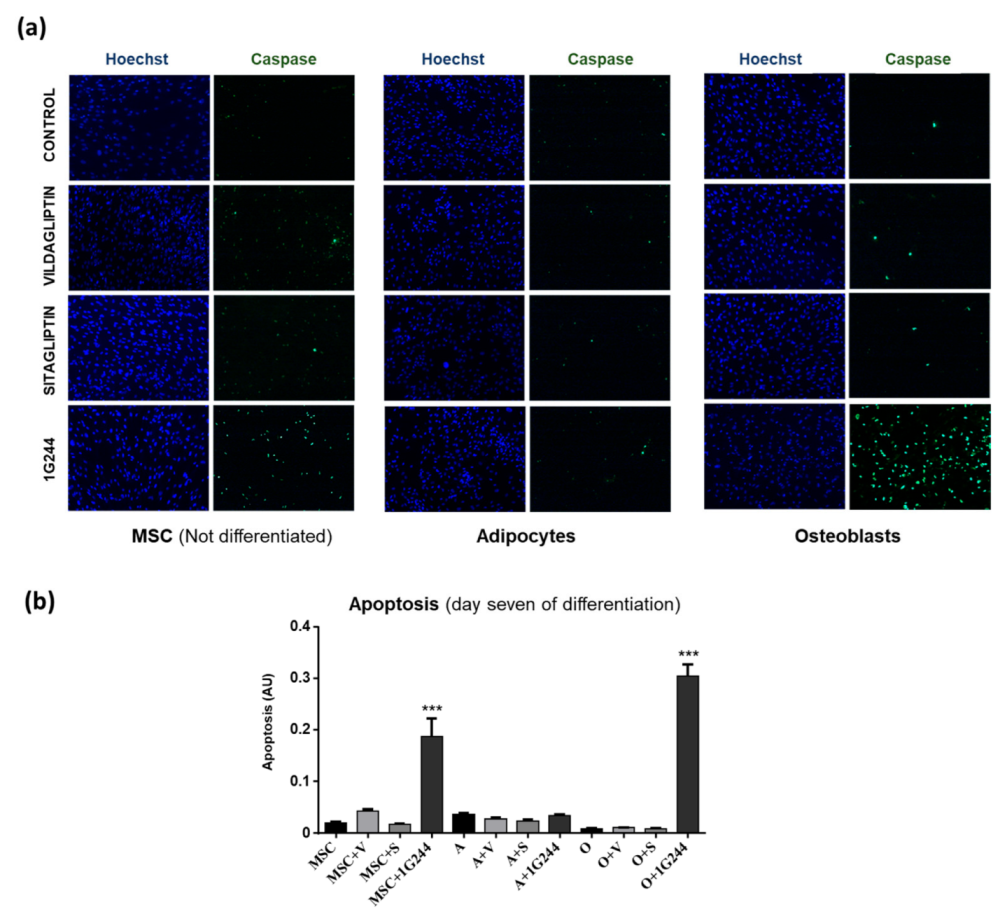 Jcm 12 04632 g003 Jcm 12 04632 g003