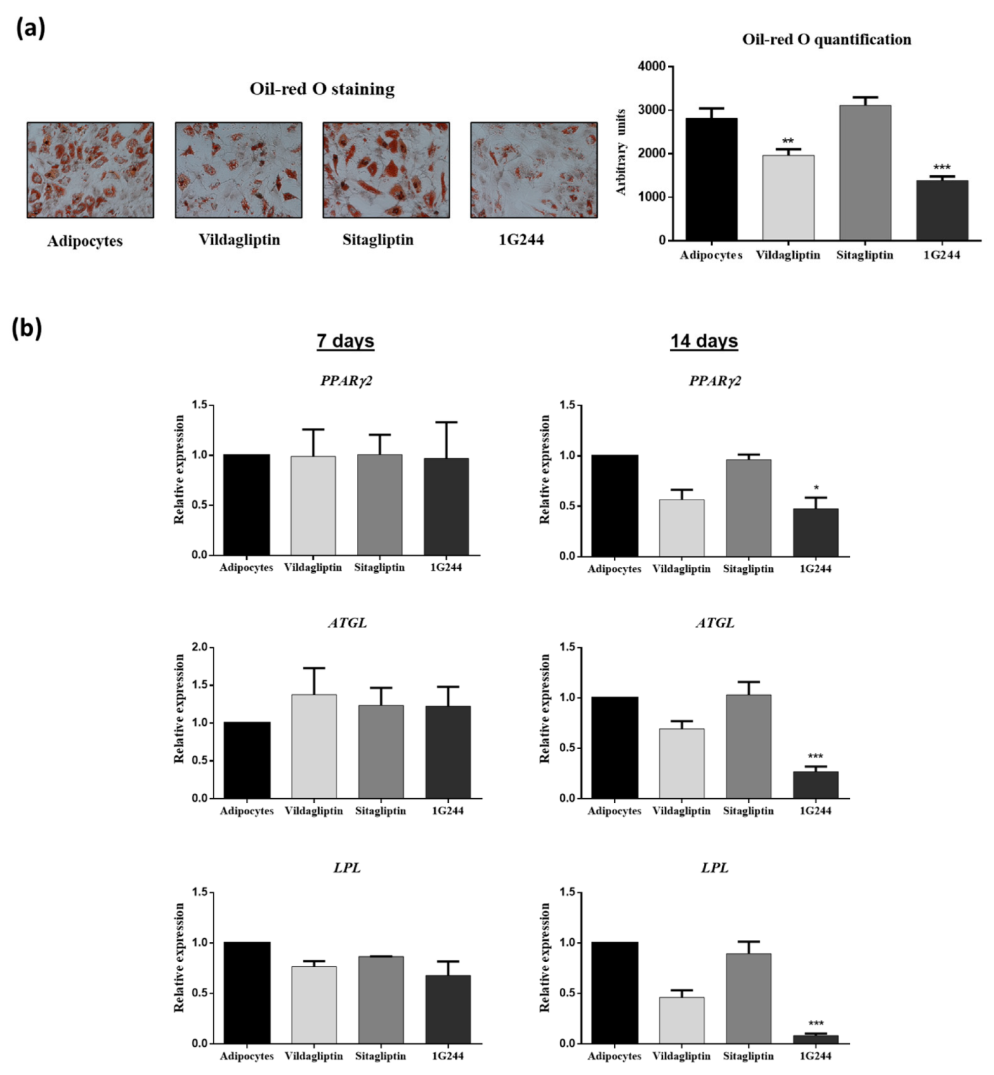 Jcm 12 04632 g006 Jcm 12 04632 g006