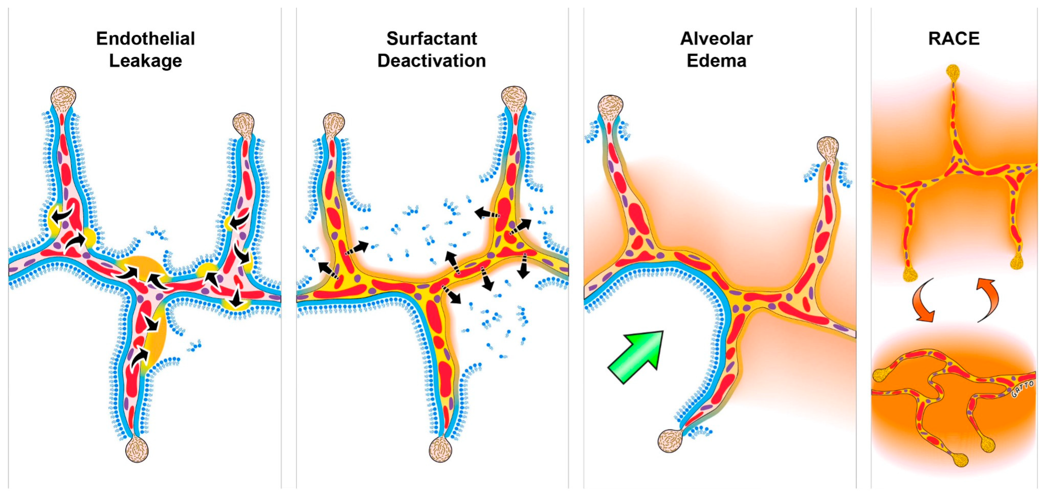 Jcm 12 04633 g001 Jcm 12 04633 g001