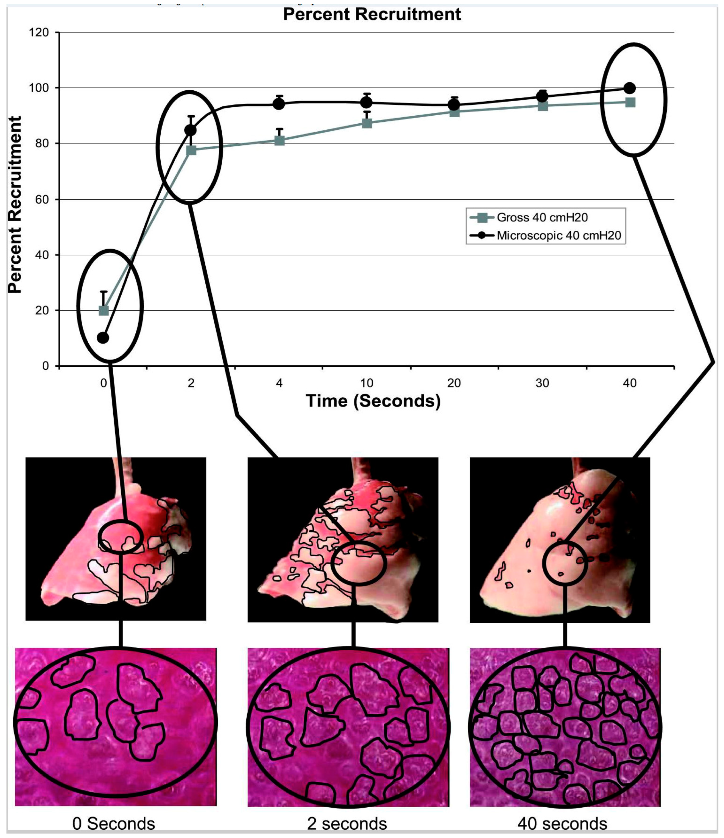 Jcm 12 04633 g005 Jcm 12 04633 g005