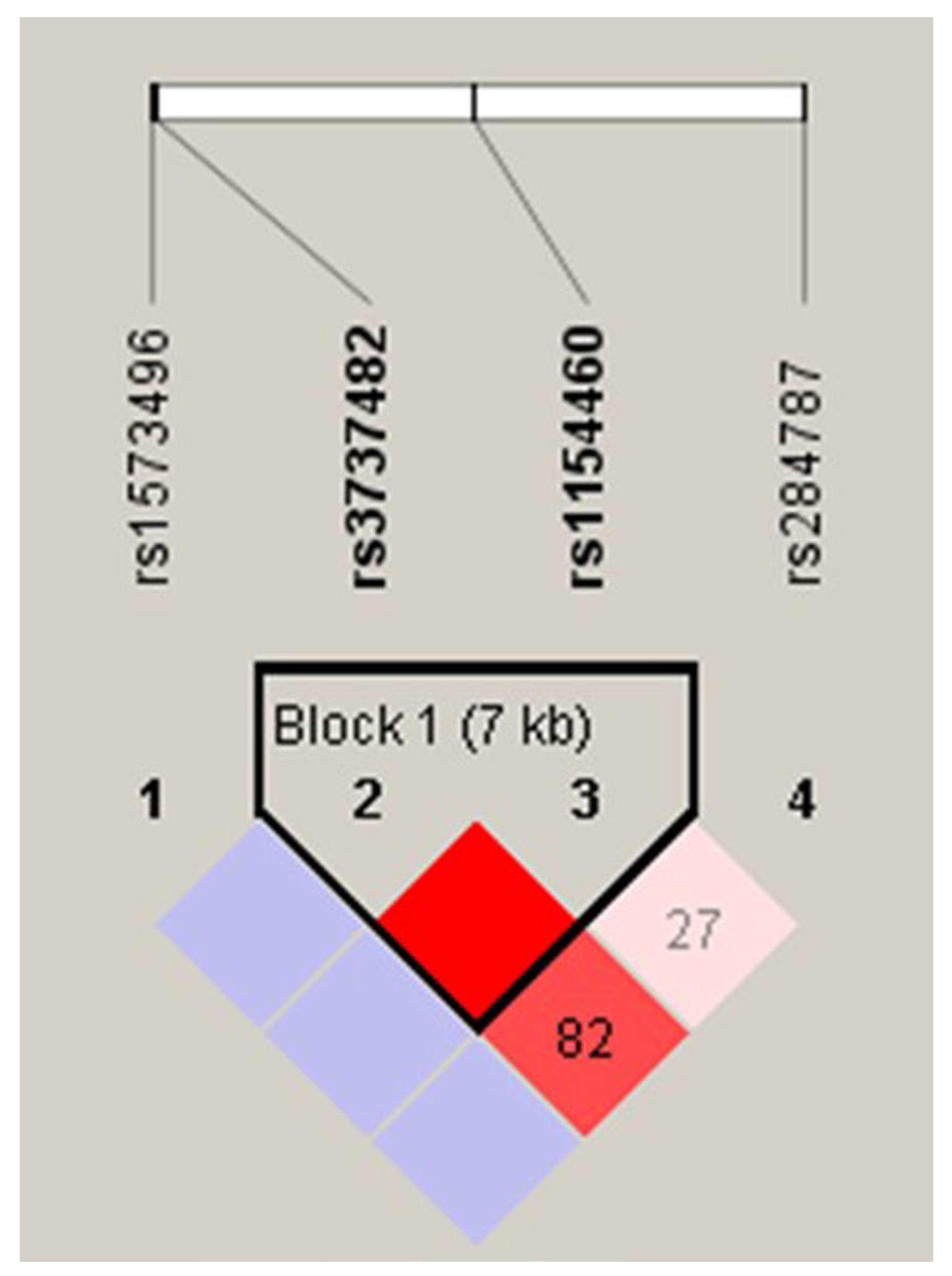 Jcm 12 04653 g001 Jcm 12 04653 g001