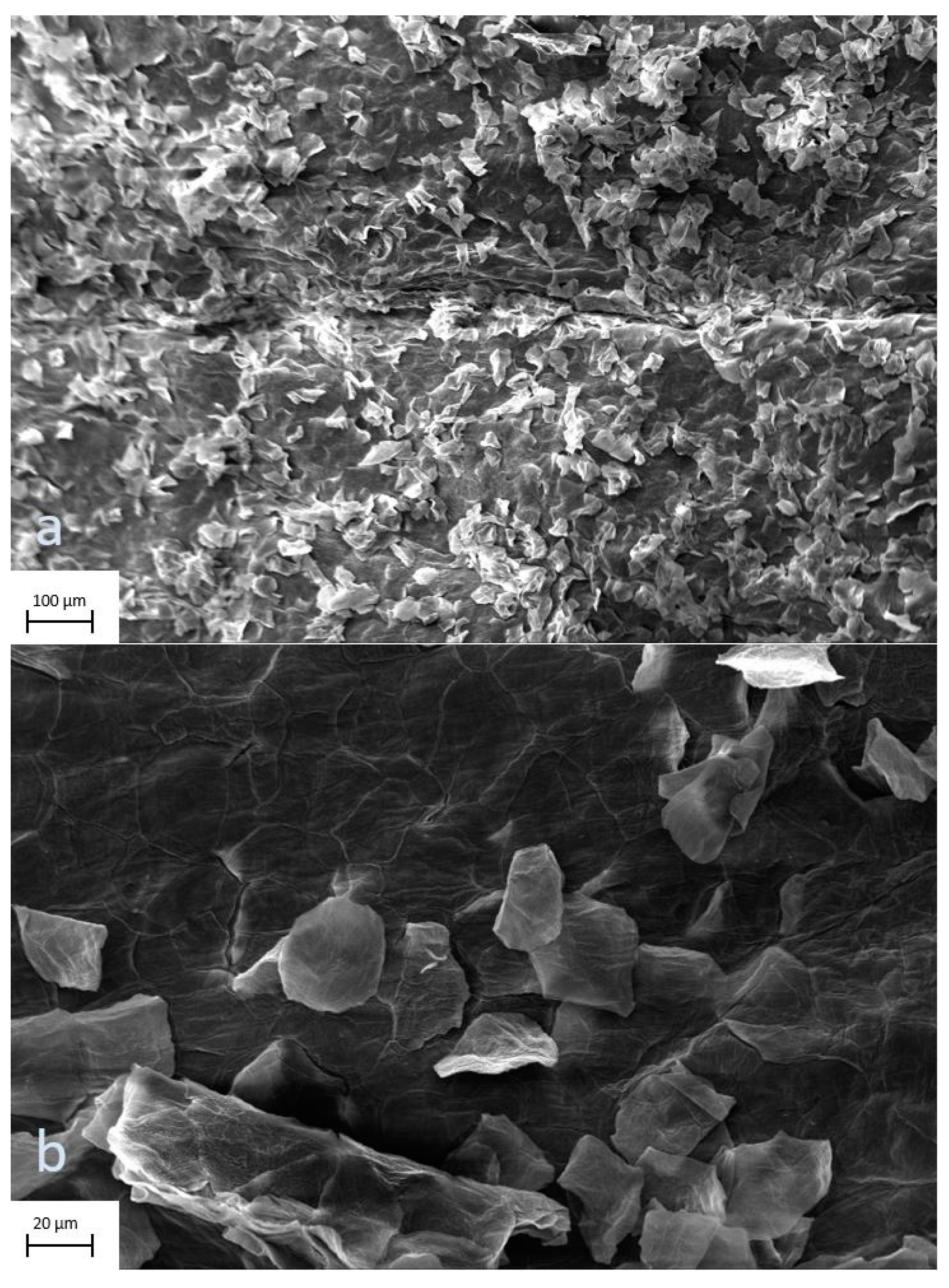 Jcm 12 04717 g008 Jcm 12 04717 g008