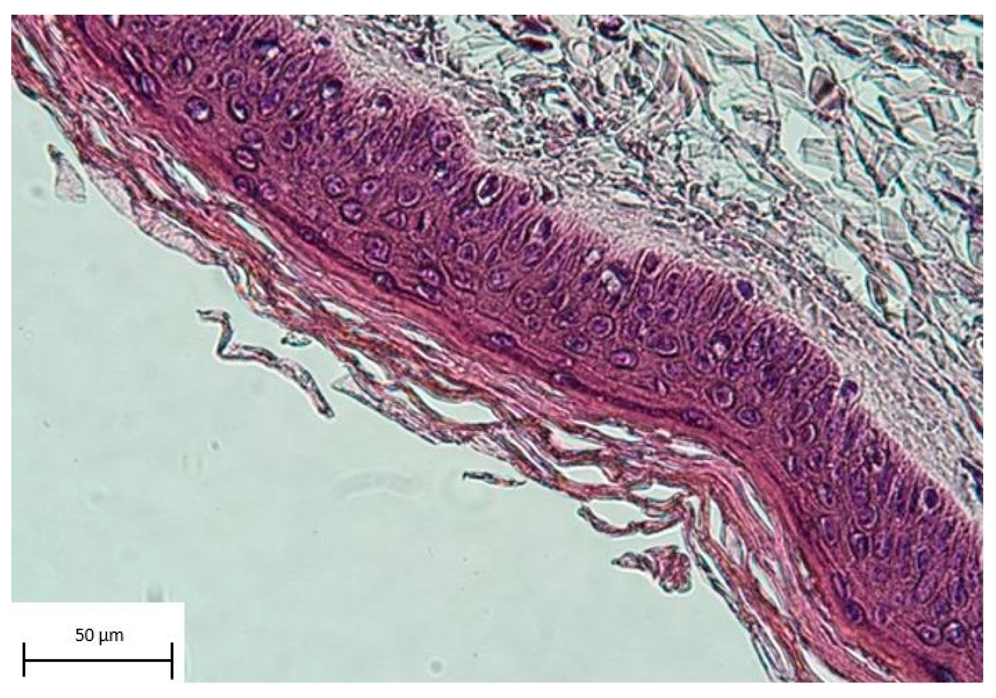 Jcm 12 04717 g009 Jcm 12 04717 g009